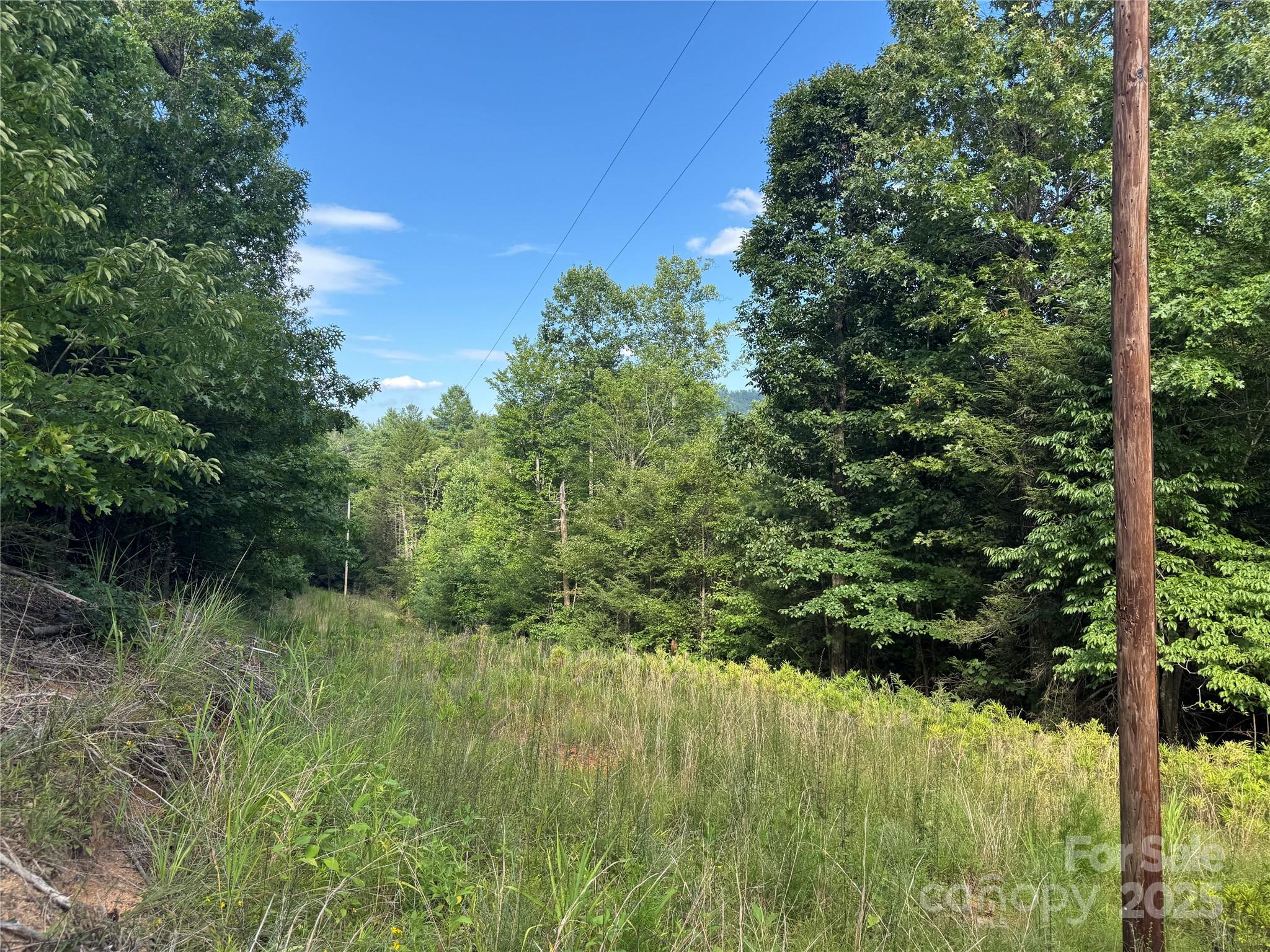 00 Rich Mountain Road Morganton NC 28655