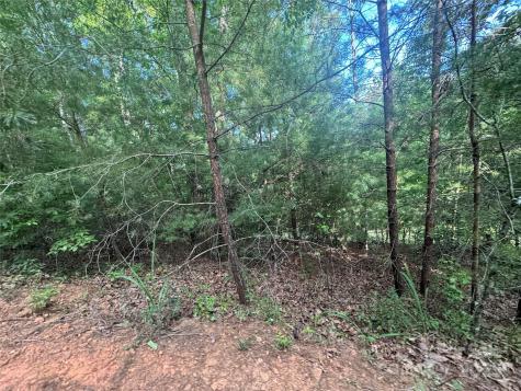 00 Rich Mountain Road Morganton NC 28655