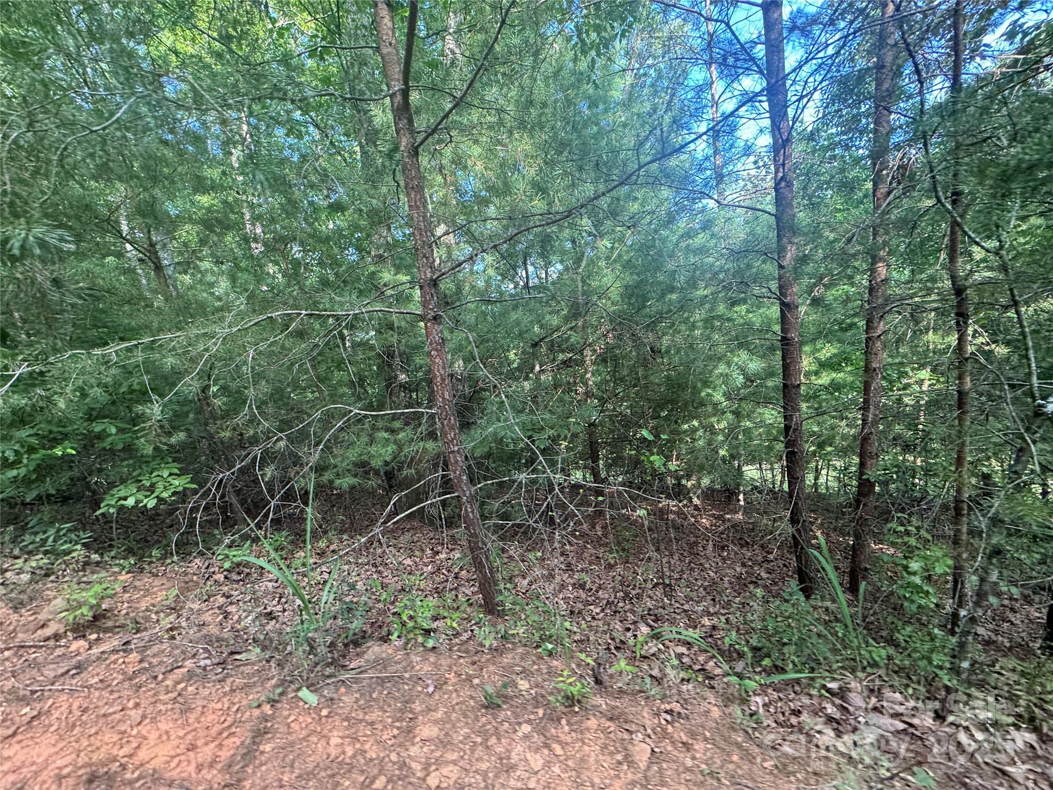 00 Rich Mountain Road Morganton NC 28655