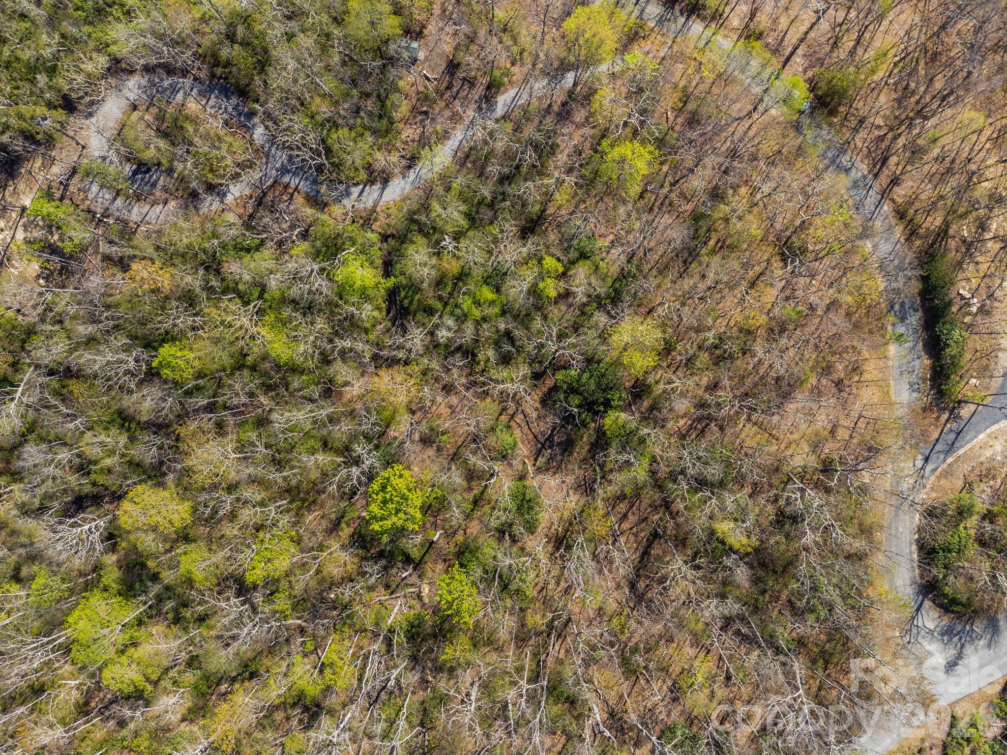 Lot 27 Trails End Road Spruce Pine NC 28714
