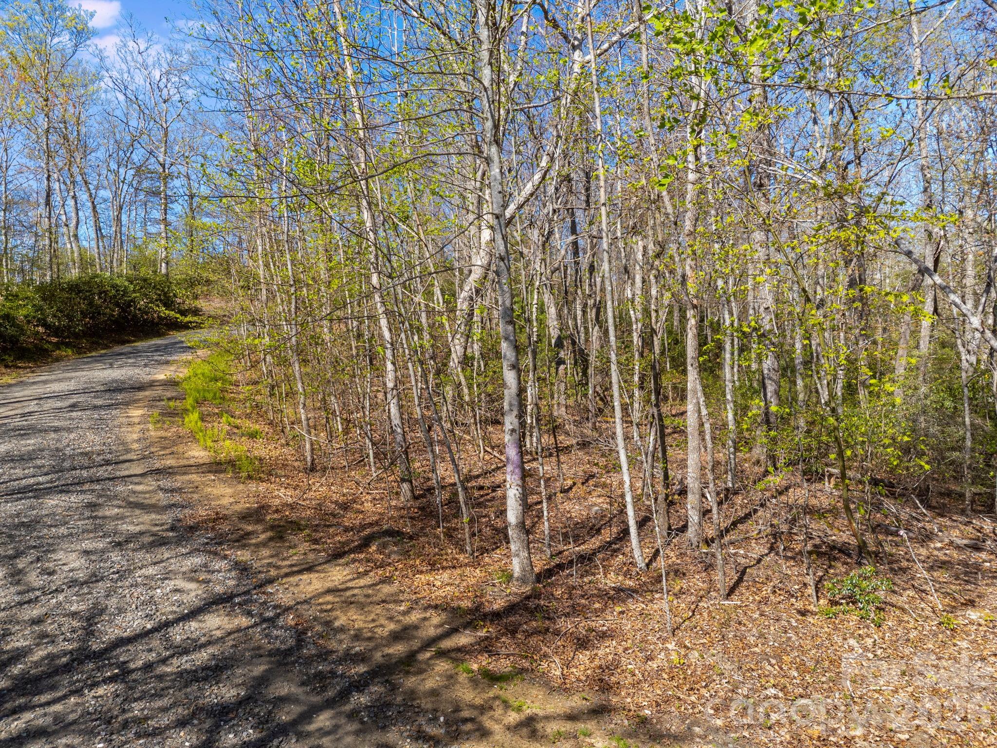 Lot 27 Trails End Road Spruce Pine NC 28714