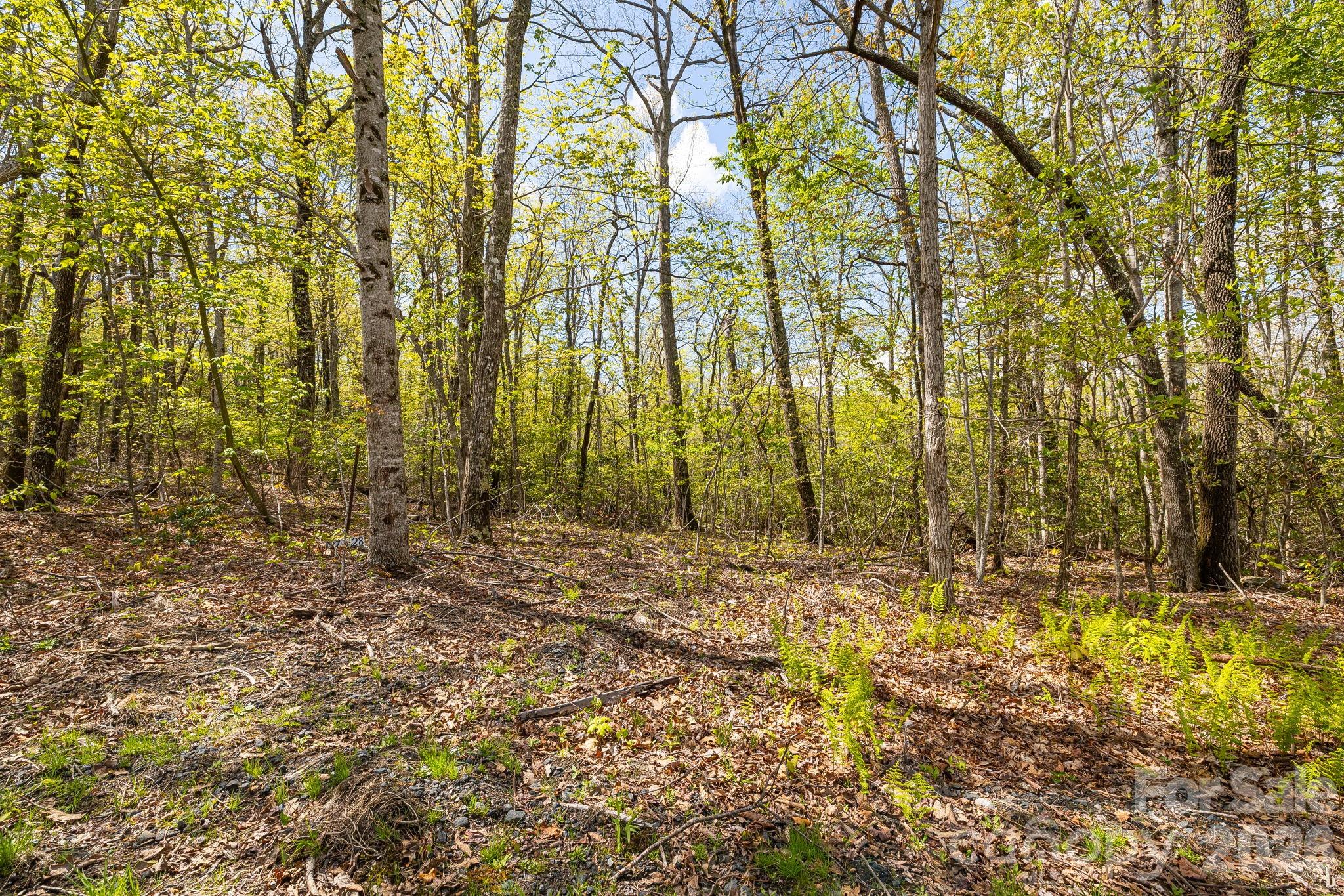 Lot 27 Trails End Road Spruce Pine NC 28714