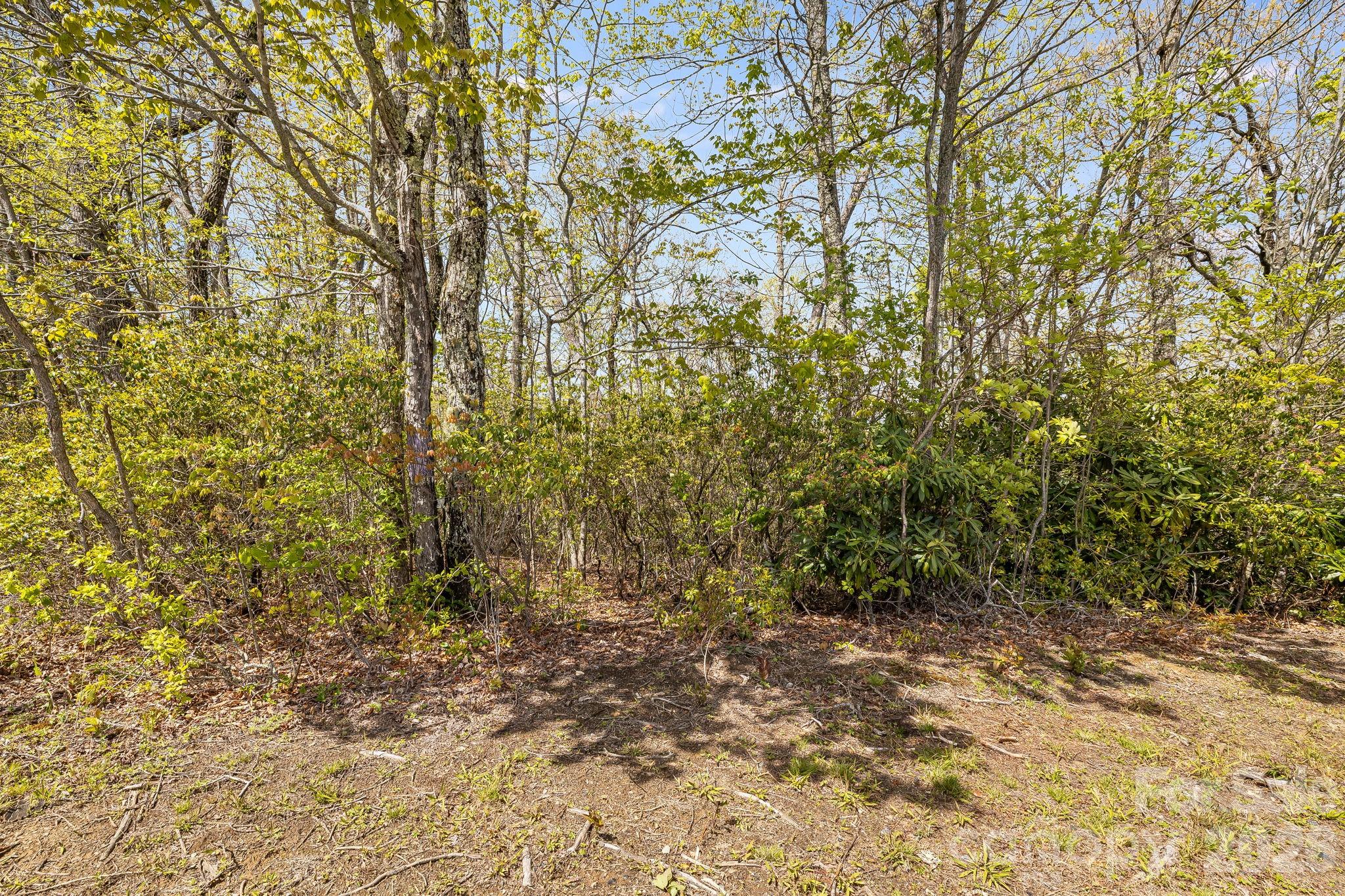 Lot 27 Trails End Road Spruce Pine NC 28714