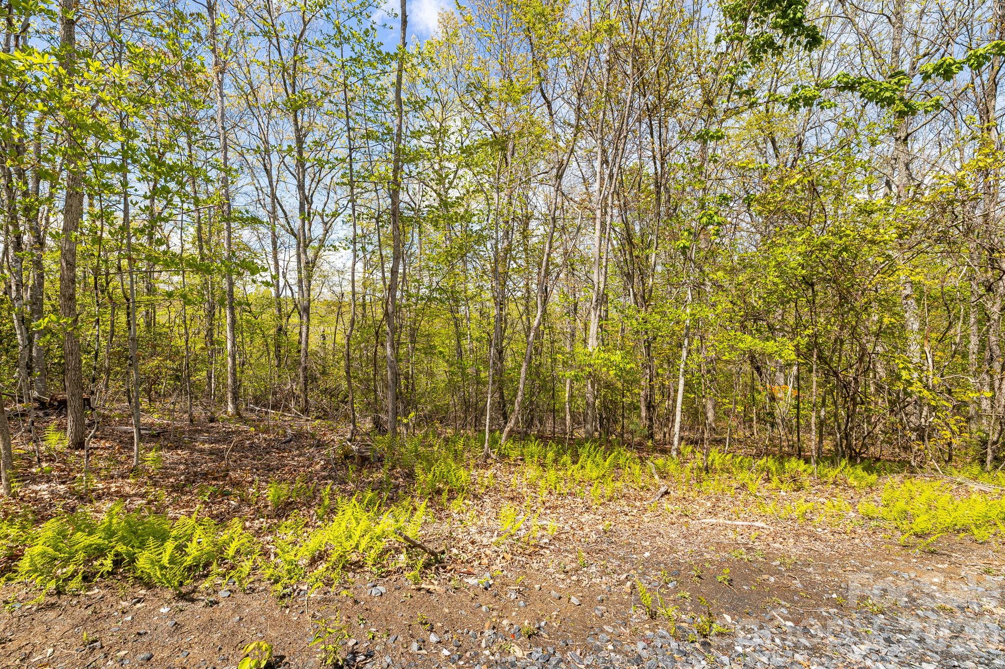 Lot 27 Trails End Road Spruce Pine NC 28714
