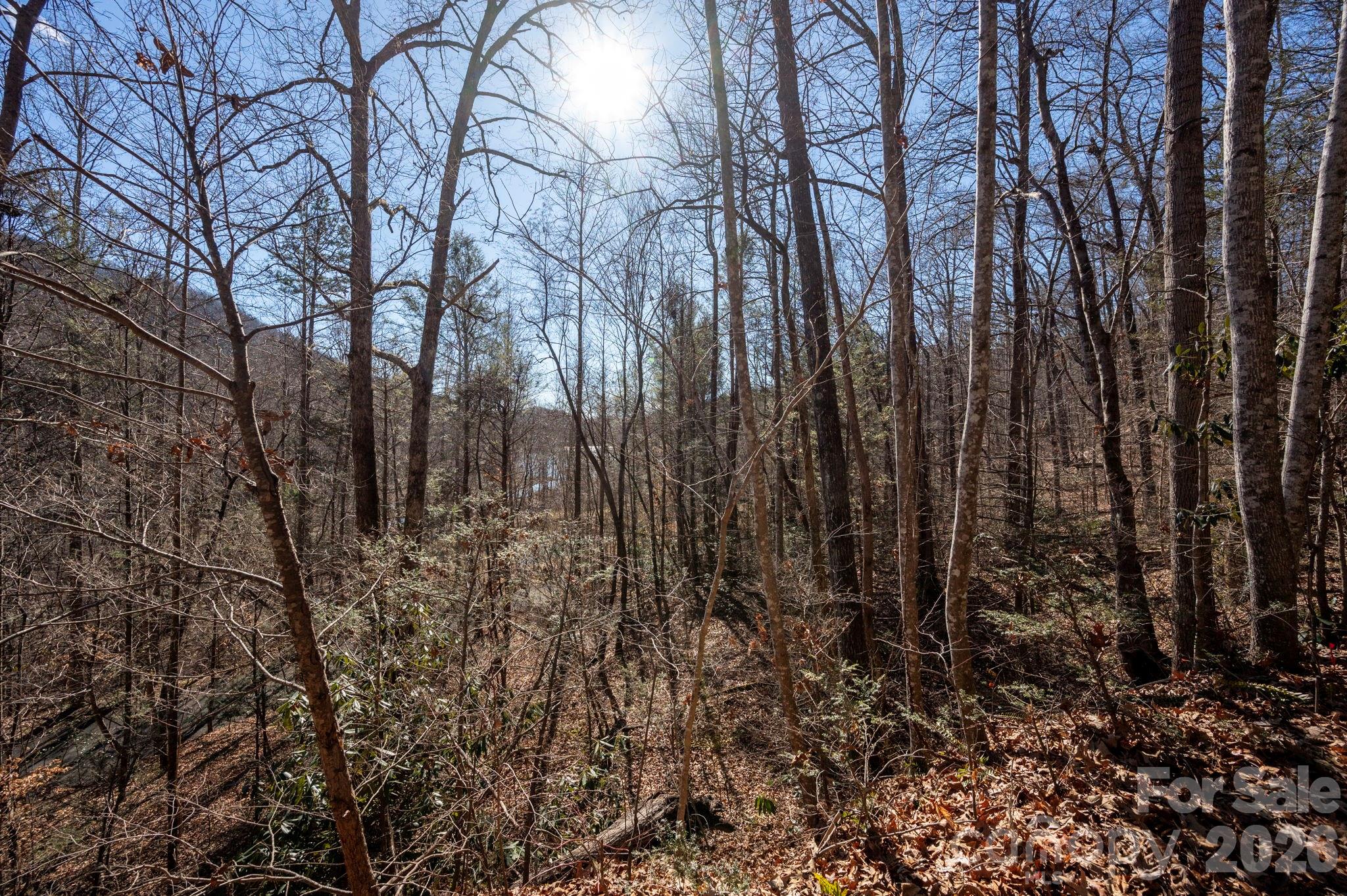 171 Deerfield Drive Lake Lure NC 28746