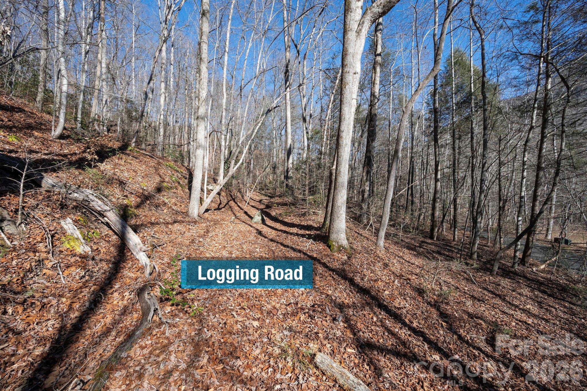171 Deerfield Drive Lake Lure NC 28746