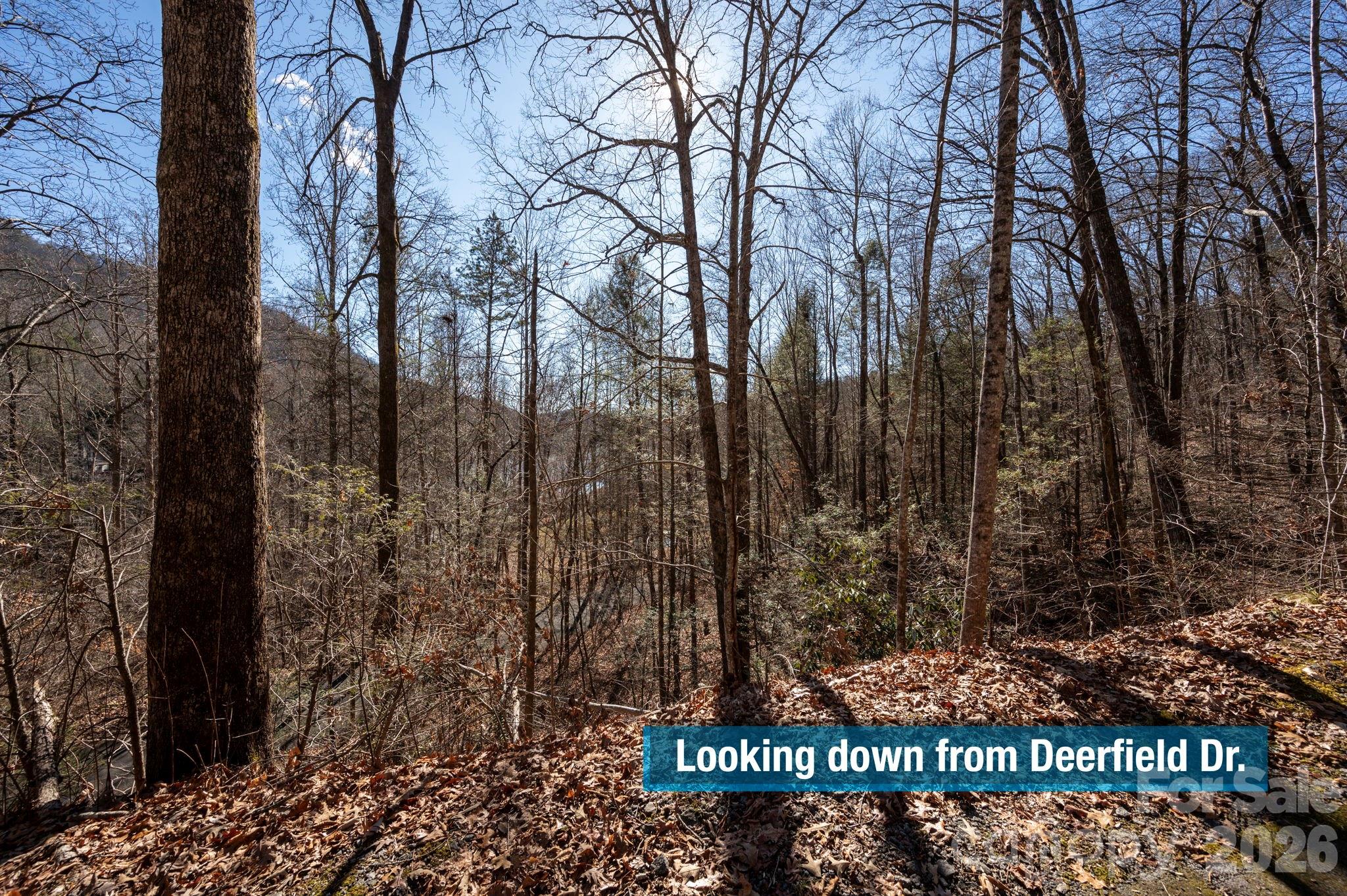 171 Deerfield Drive Lake Lure NC 28746