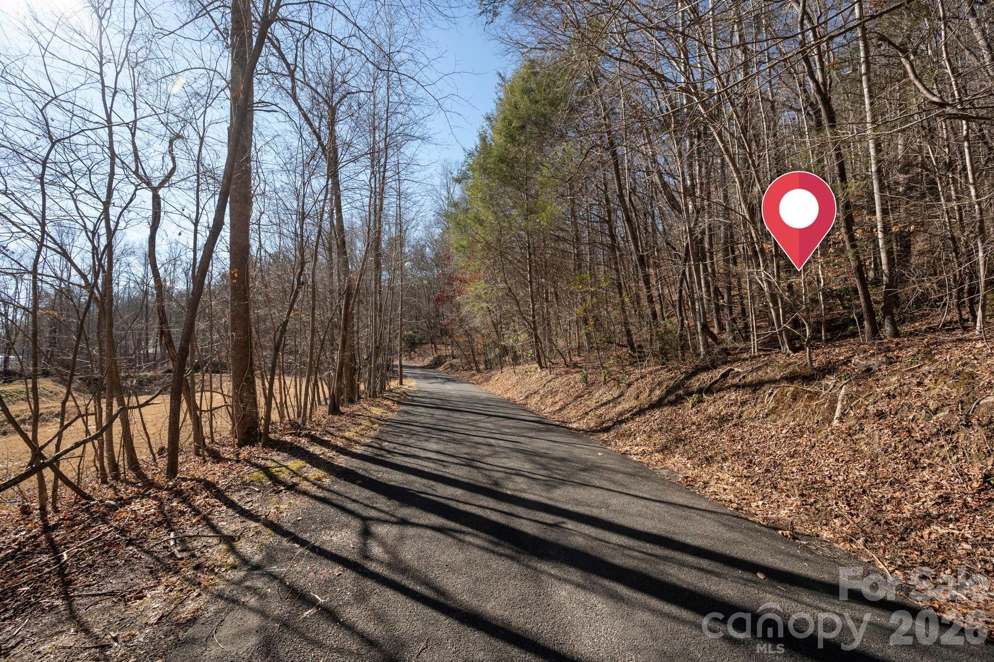 171 Deerfield Drive Lake Lure NC 28746