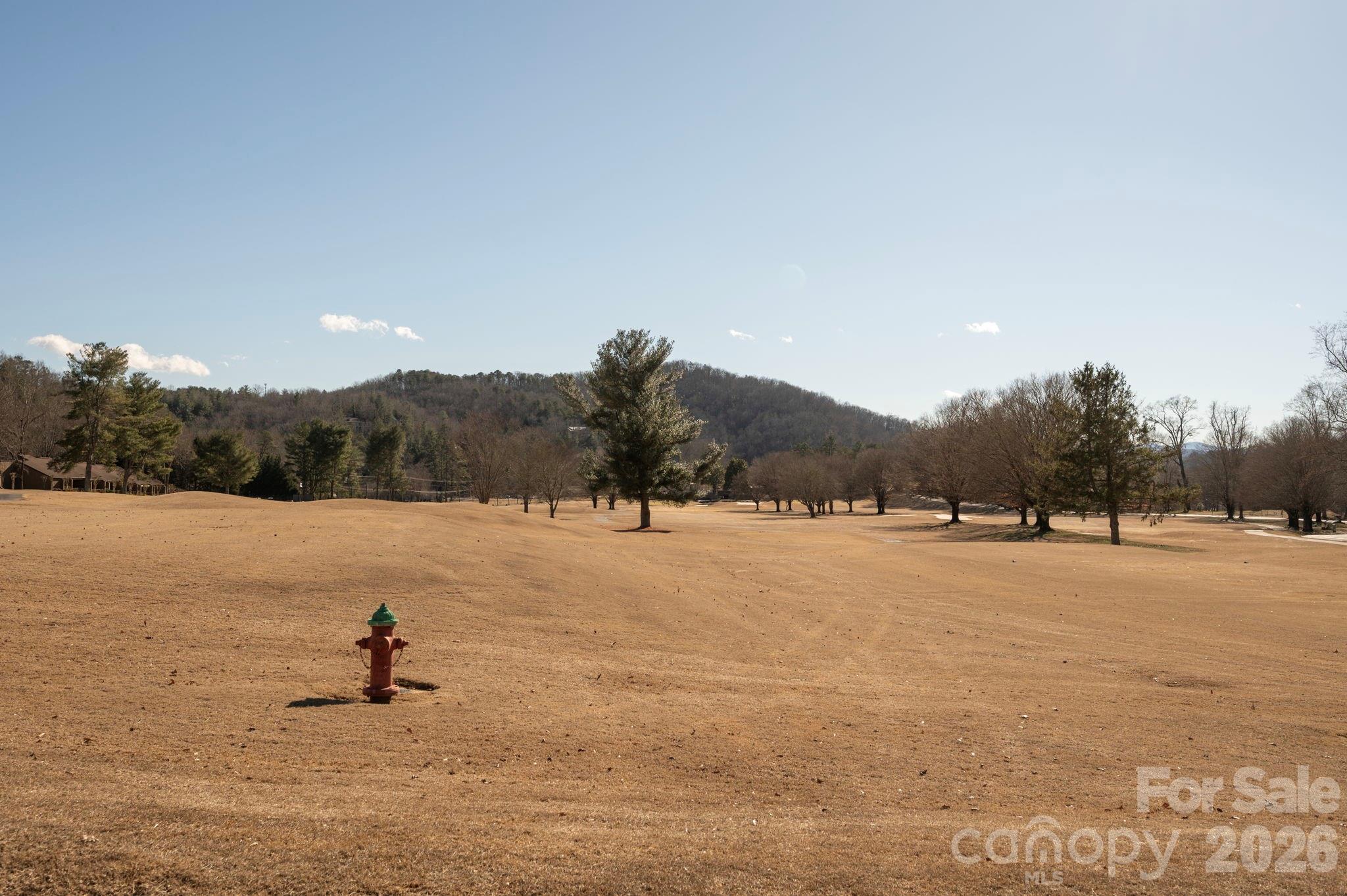 171 Deerfield Drive Lake Lure NC 28746