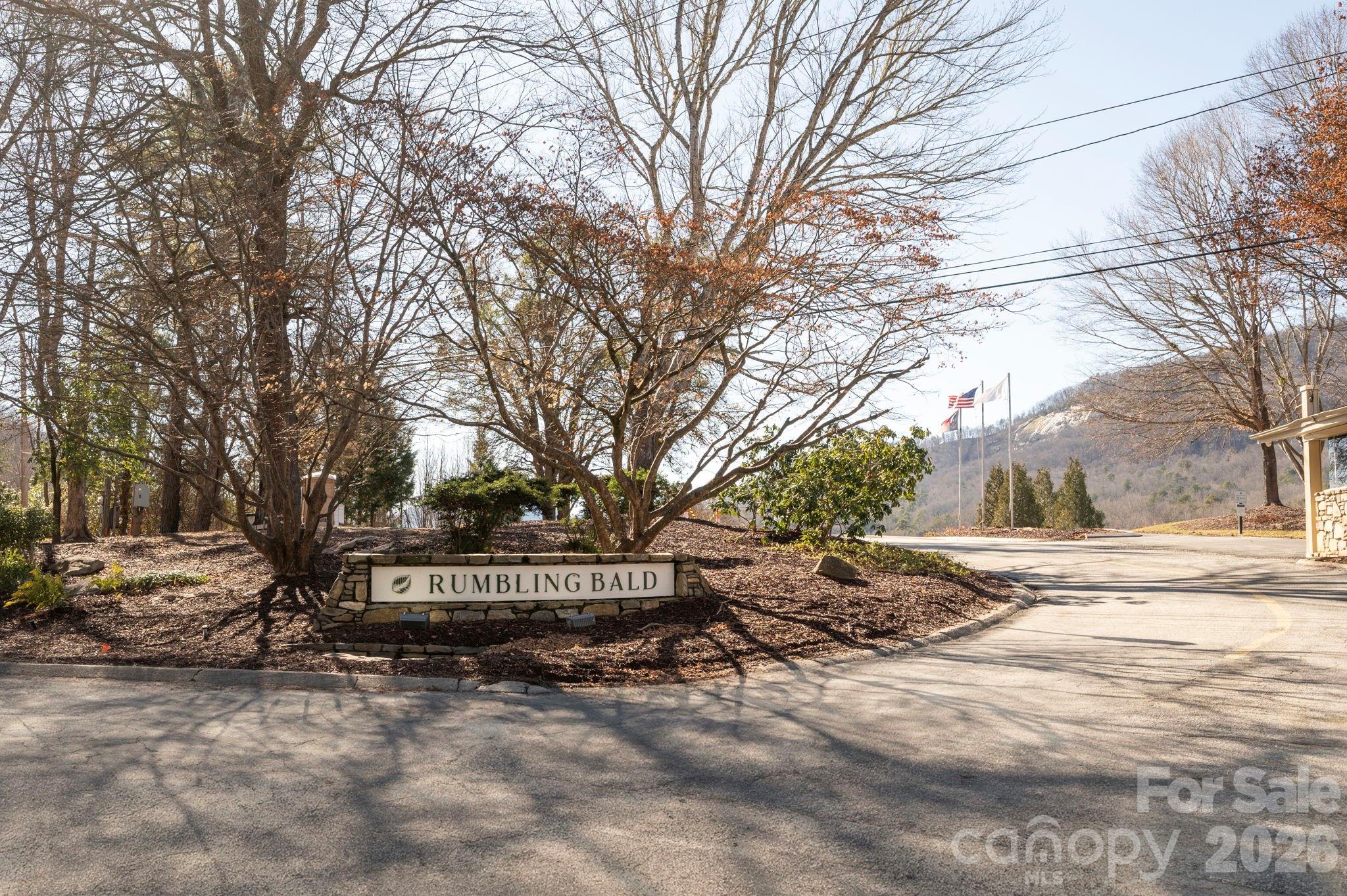 171 Deerfield Drive Lake Lure NC 28746