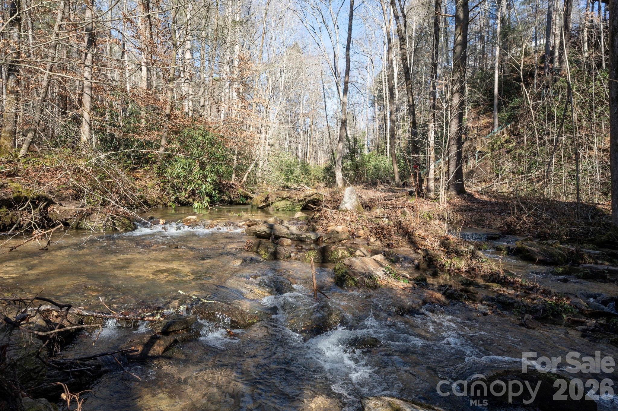 171 Deerfield Drive Lake Lure NC 28746
