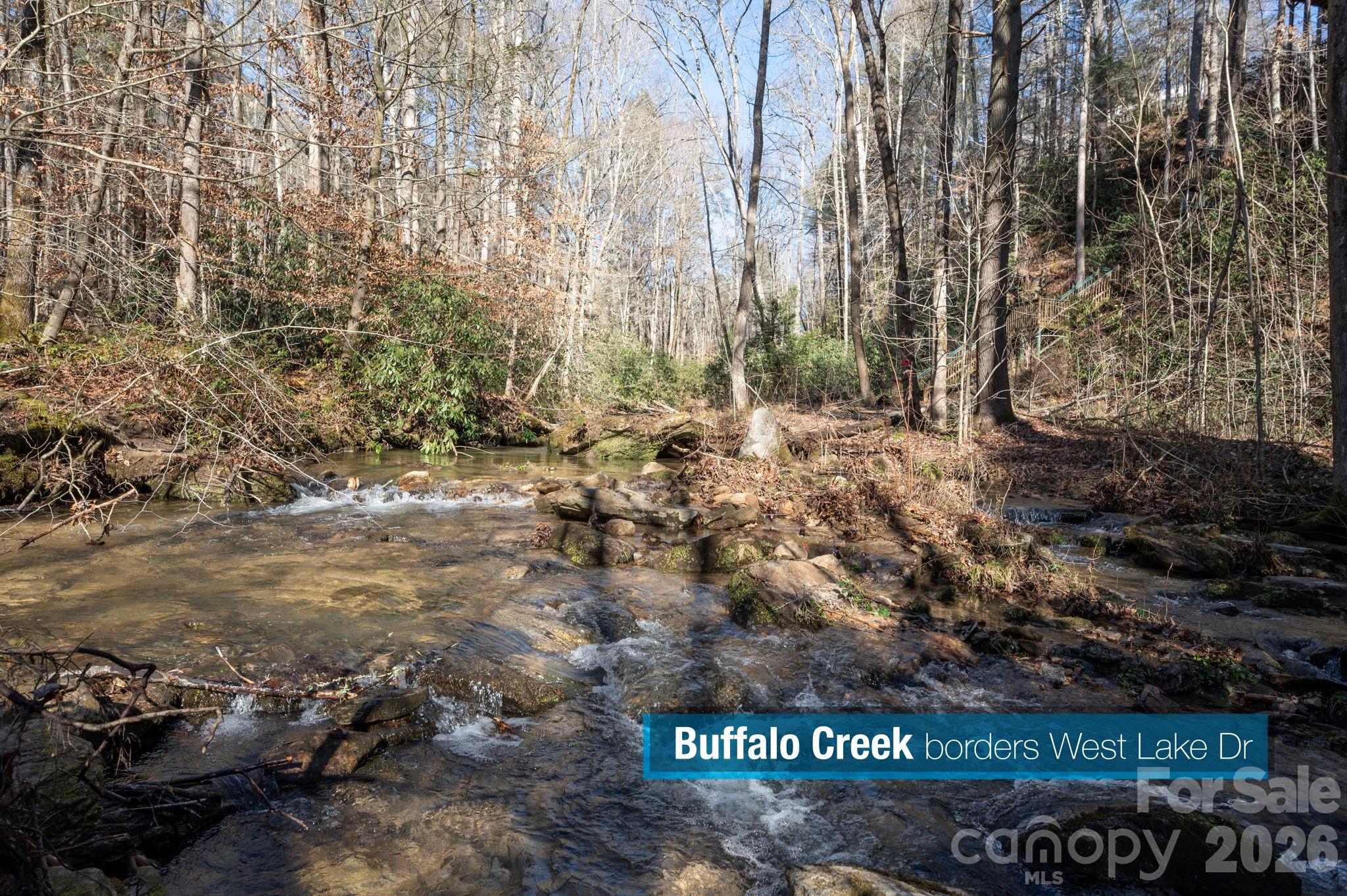 171 Deerfield Drive Lake Lure NC 28746
