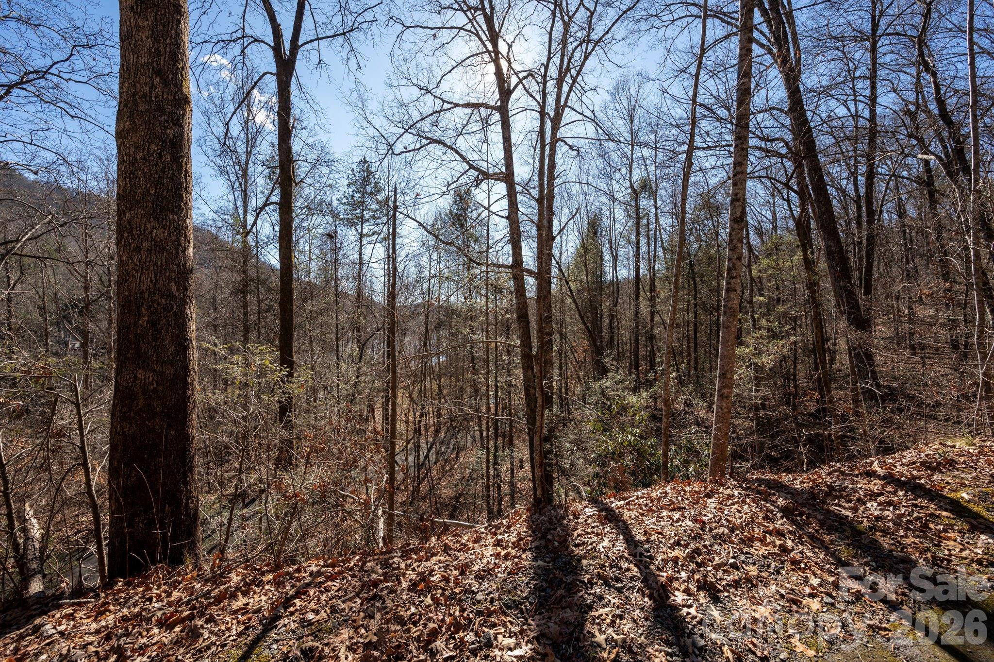 171 Deerfield Drive Lake Lure NC 28746