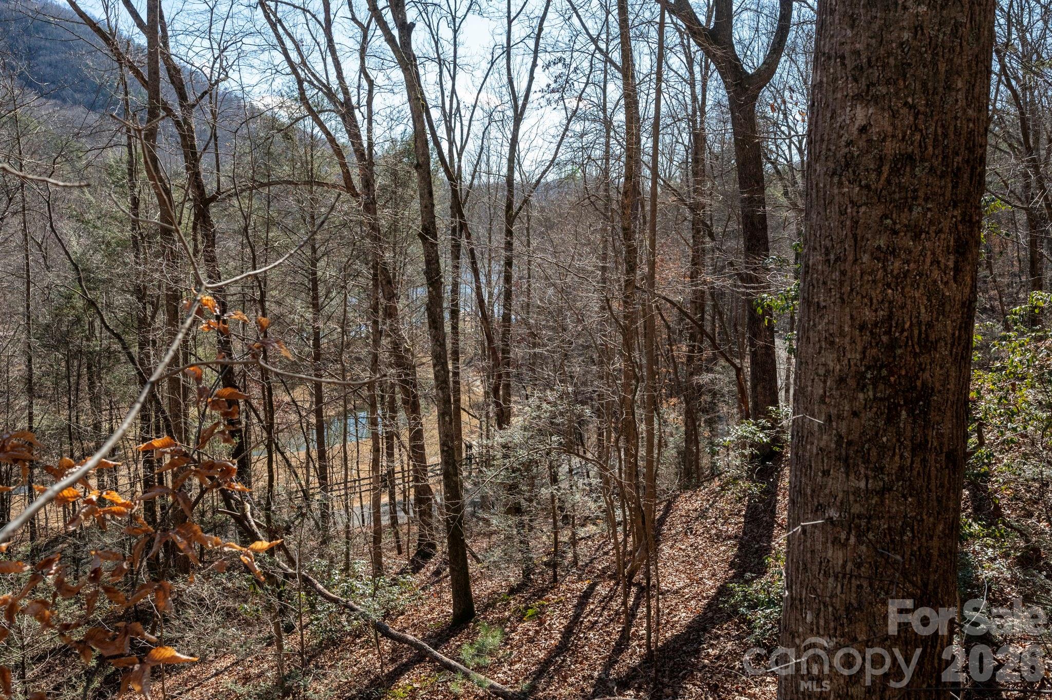 171 Deerfield Drive Lake Lure NC 28746