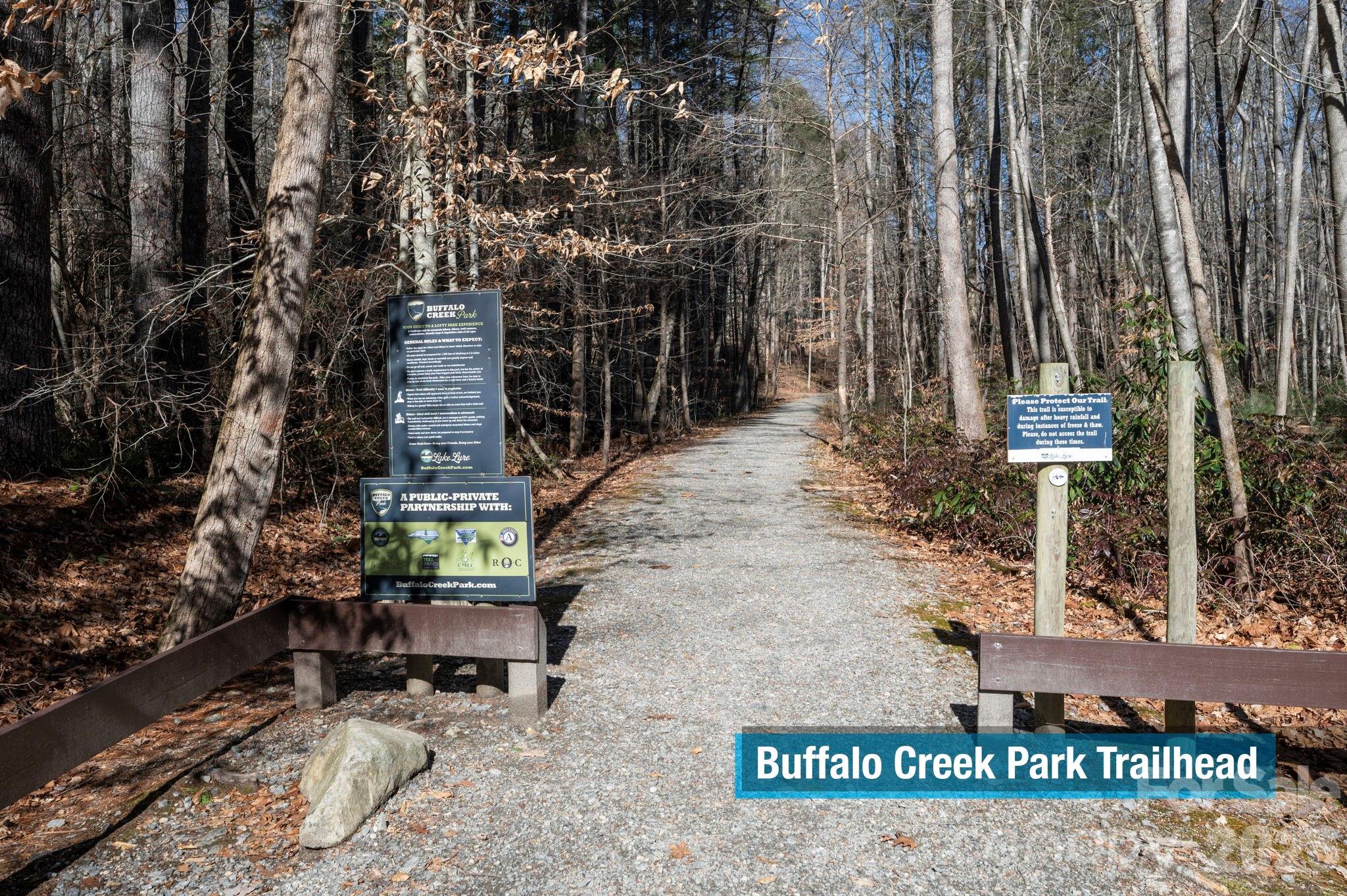 171 Deerfield Drive Lake Lure NC 28746