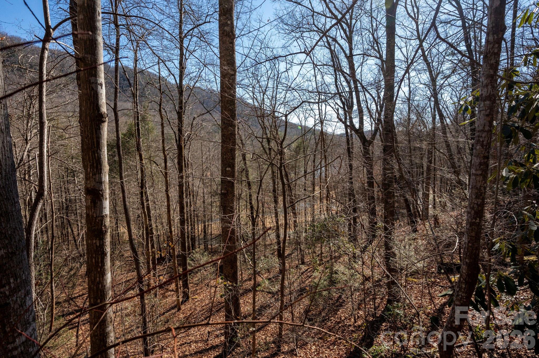 171 Deerfield Drive Lake Lure NC 28746