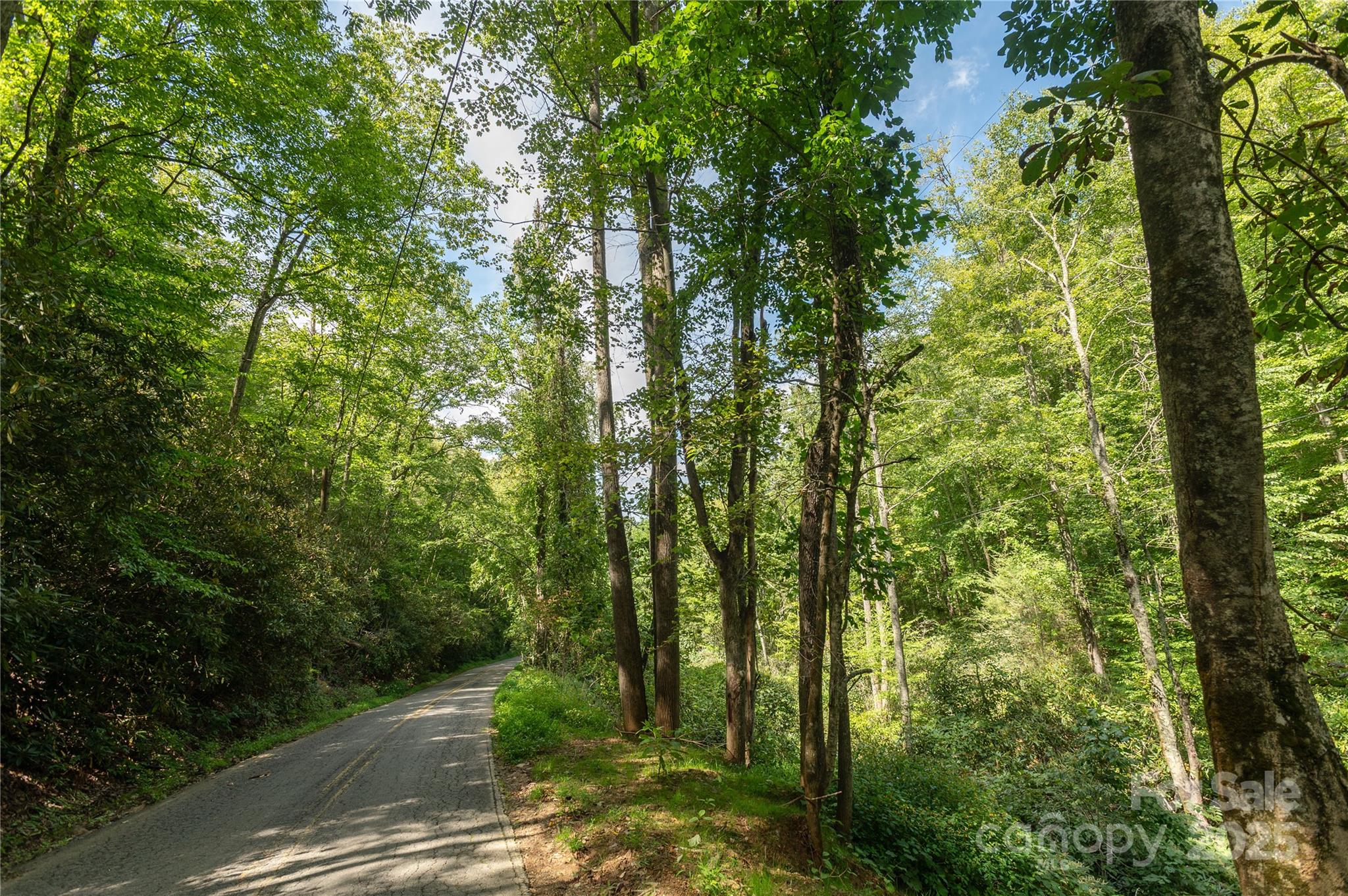99999 Christian Creek Road Swannanoa NC 28778