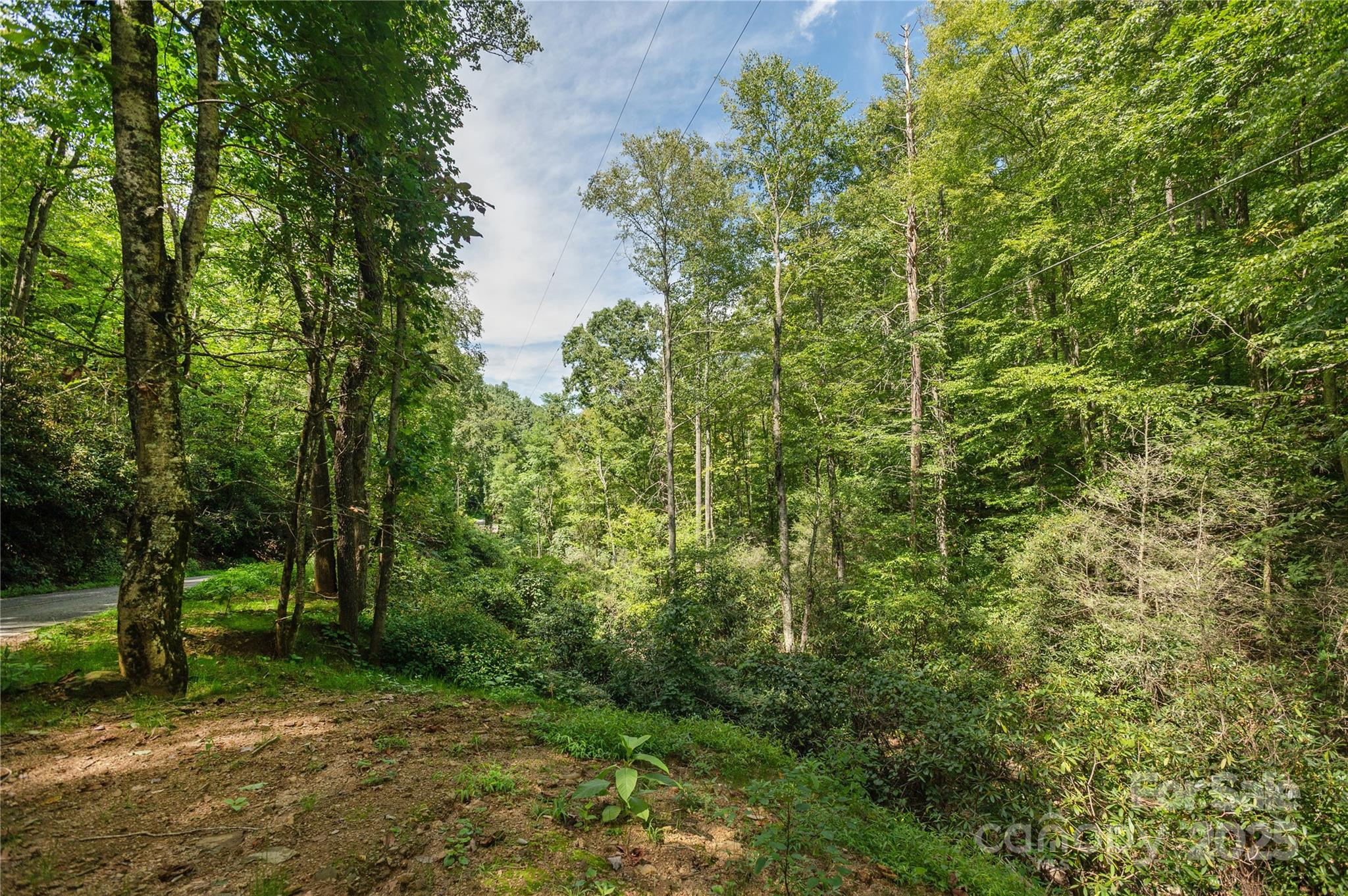 99999 Christian Creek Road Swannanoa NC 28778