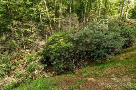 99999 Christian Creek Road Swannanoa NC 28778