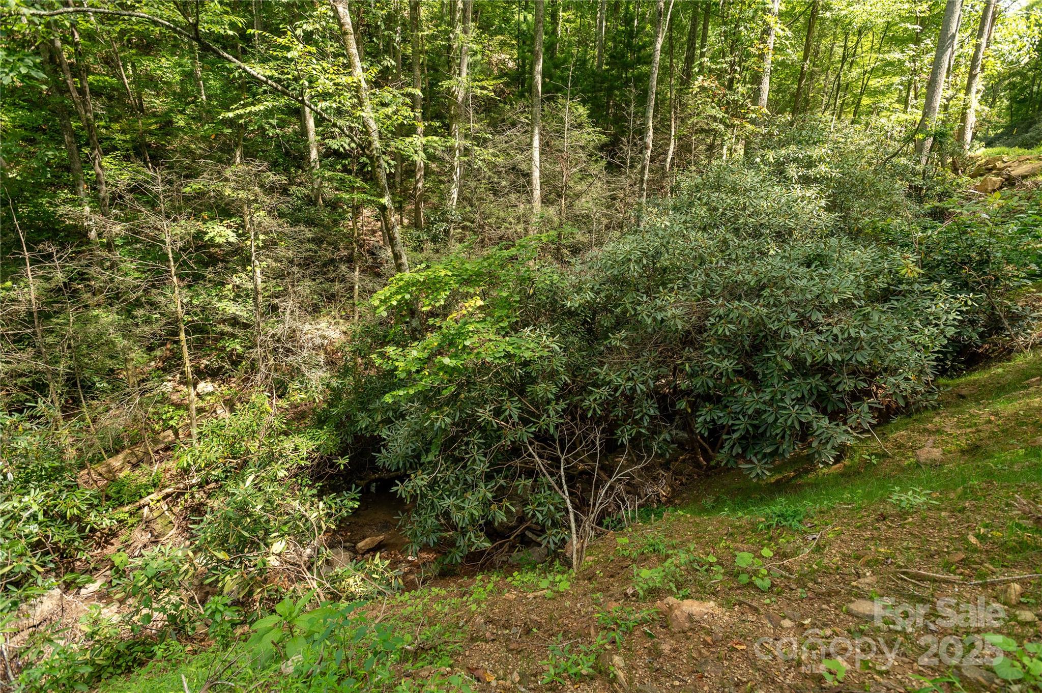99999 Christian Creek Road Swannanoa NC 28778