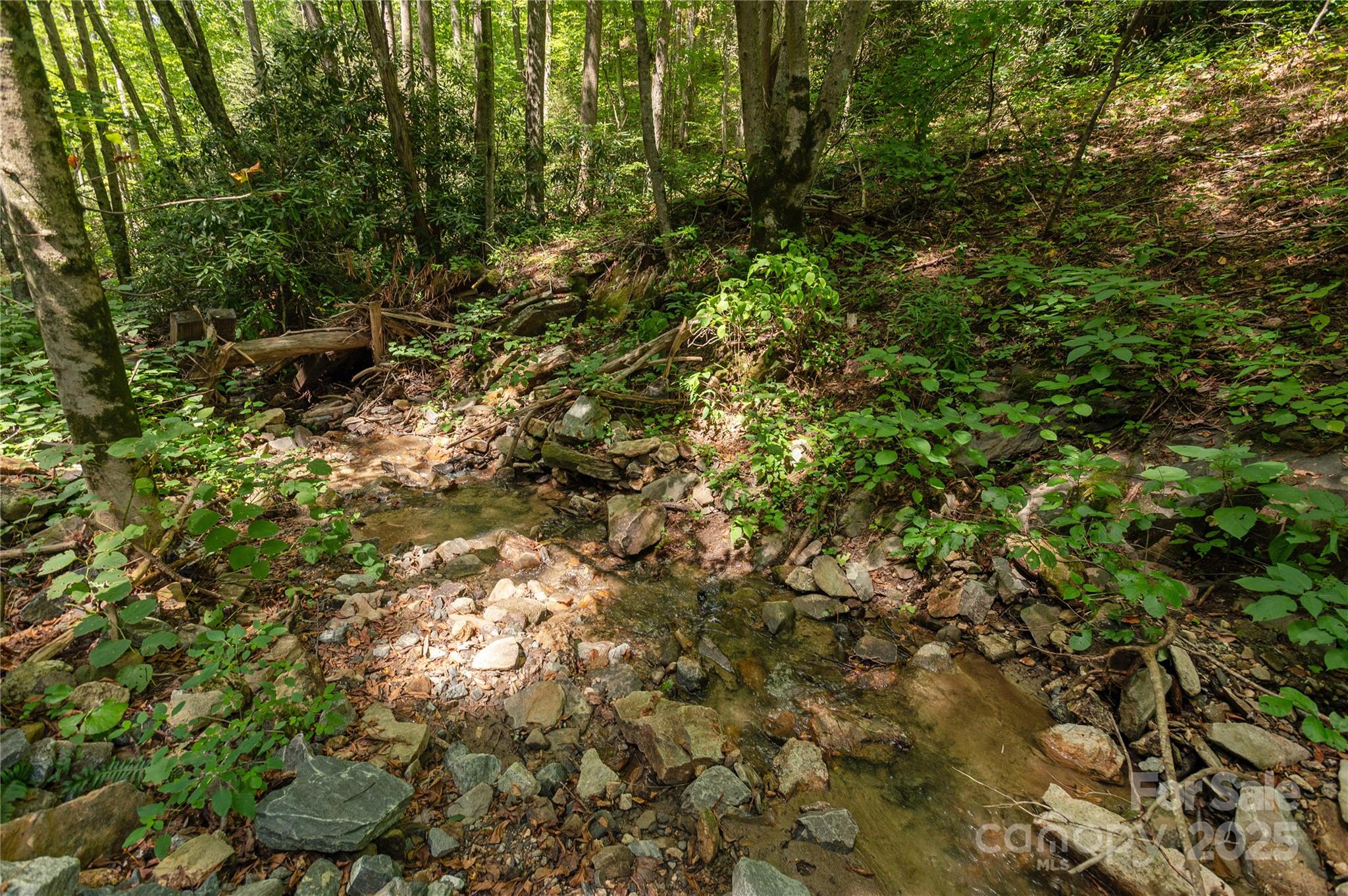 99999 Christian Creek Road Swannanoa NC 28778