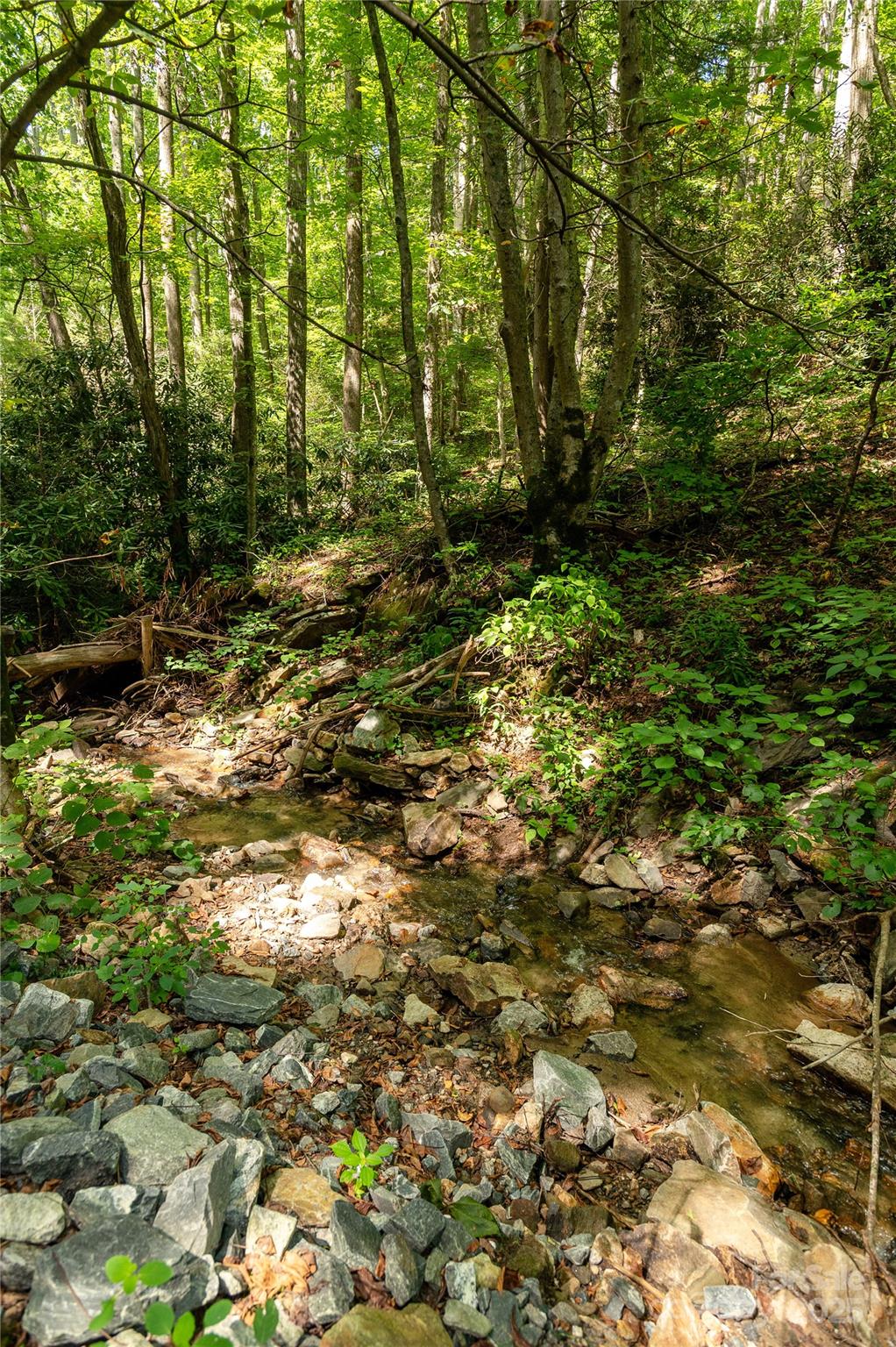 99999 Christian Creek Road Swannanoa NC 28778