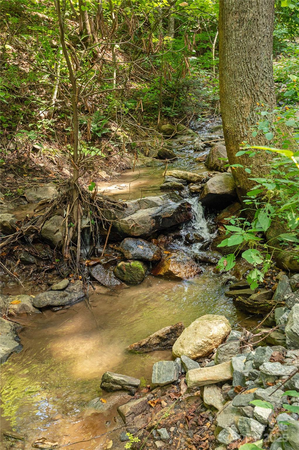 99999 Christian Creek Road Swannanoa NC 28778