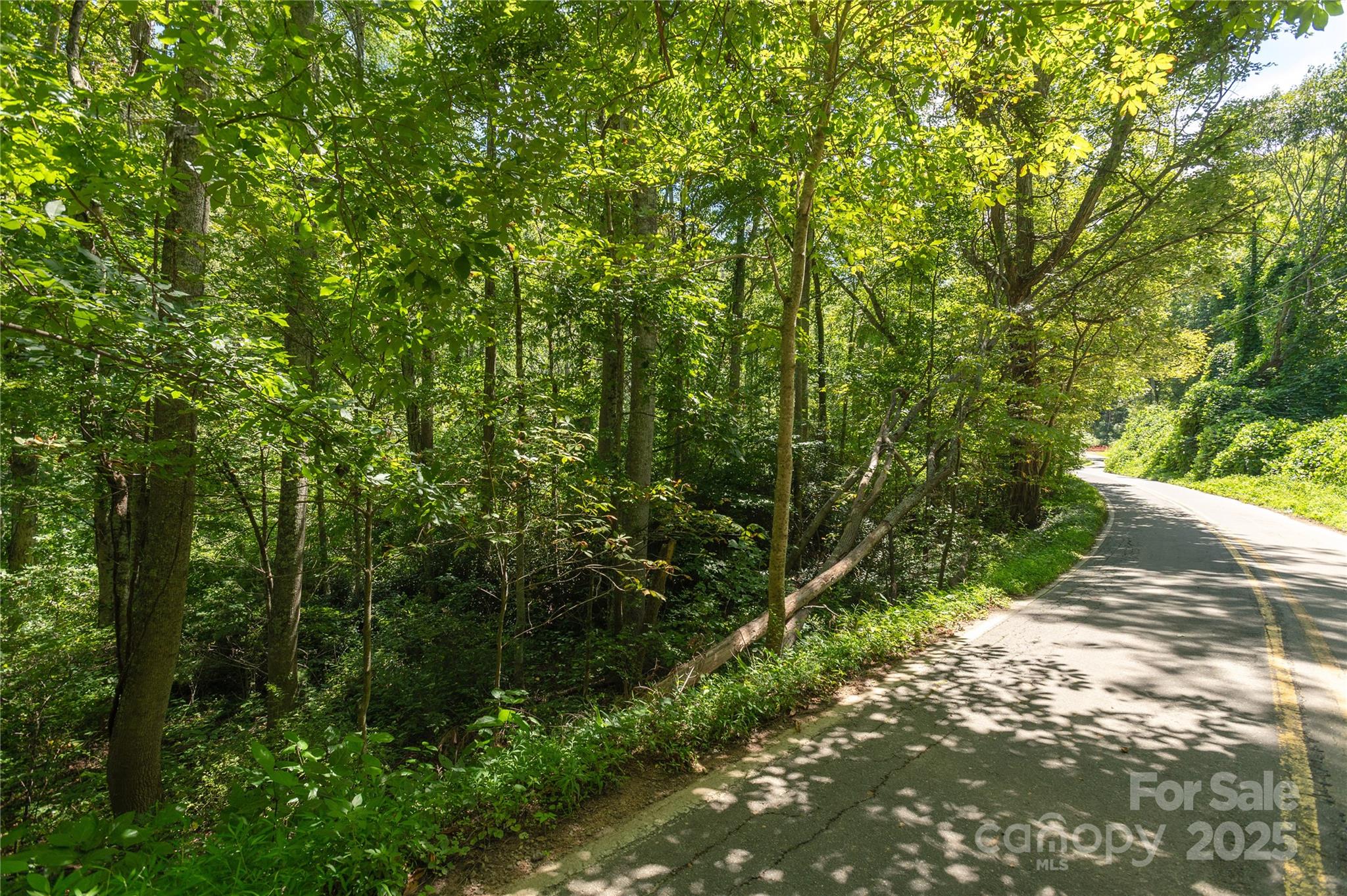 99999 Christian Creek Road Swannanoa NC 28778