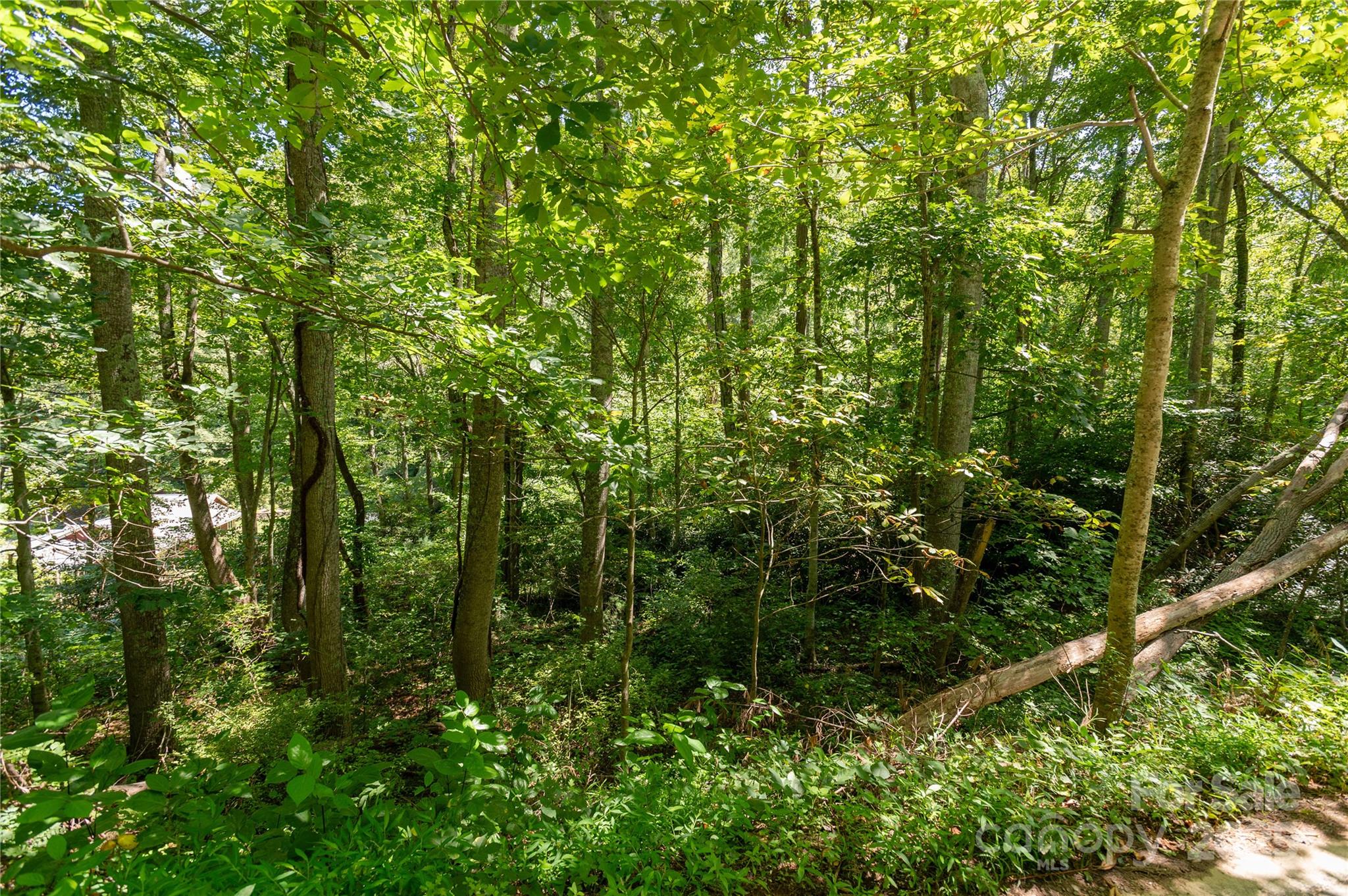 99999 Christian Creek Road Swannanoa NC 28778