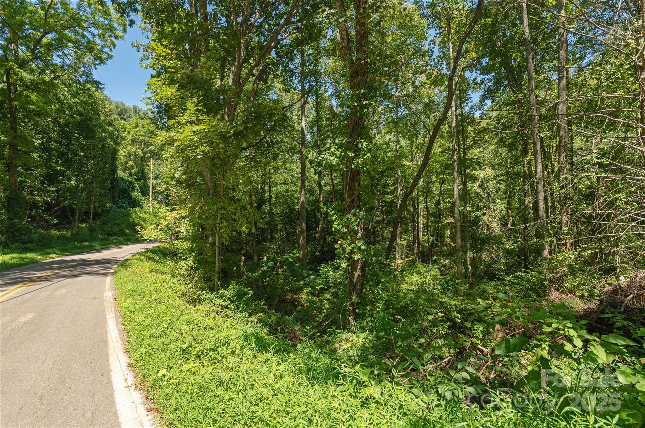 99999 Christian Creek Road Swannanoa NC 28778