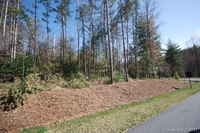 30 Springhouse Trail Brevard NC 28712