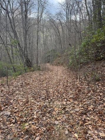 0 E Wabash Drive Sylva NC 28779