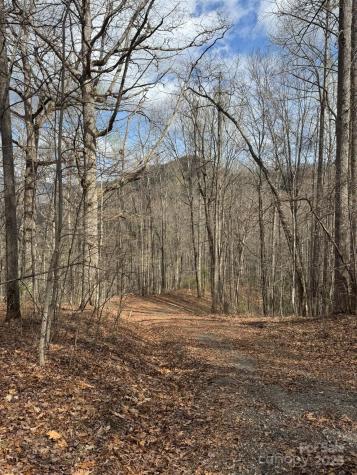 0 E Wabash Drive Sylva NC 28779