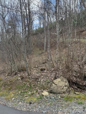 0 E Wabash Drive Sylva NC 28779