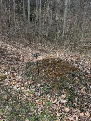 0 E Wabash Drive Sylva NC 28779