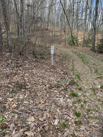 0 E Wabash Drive Sylva NC 28779