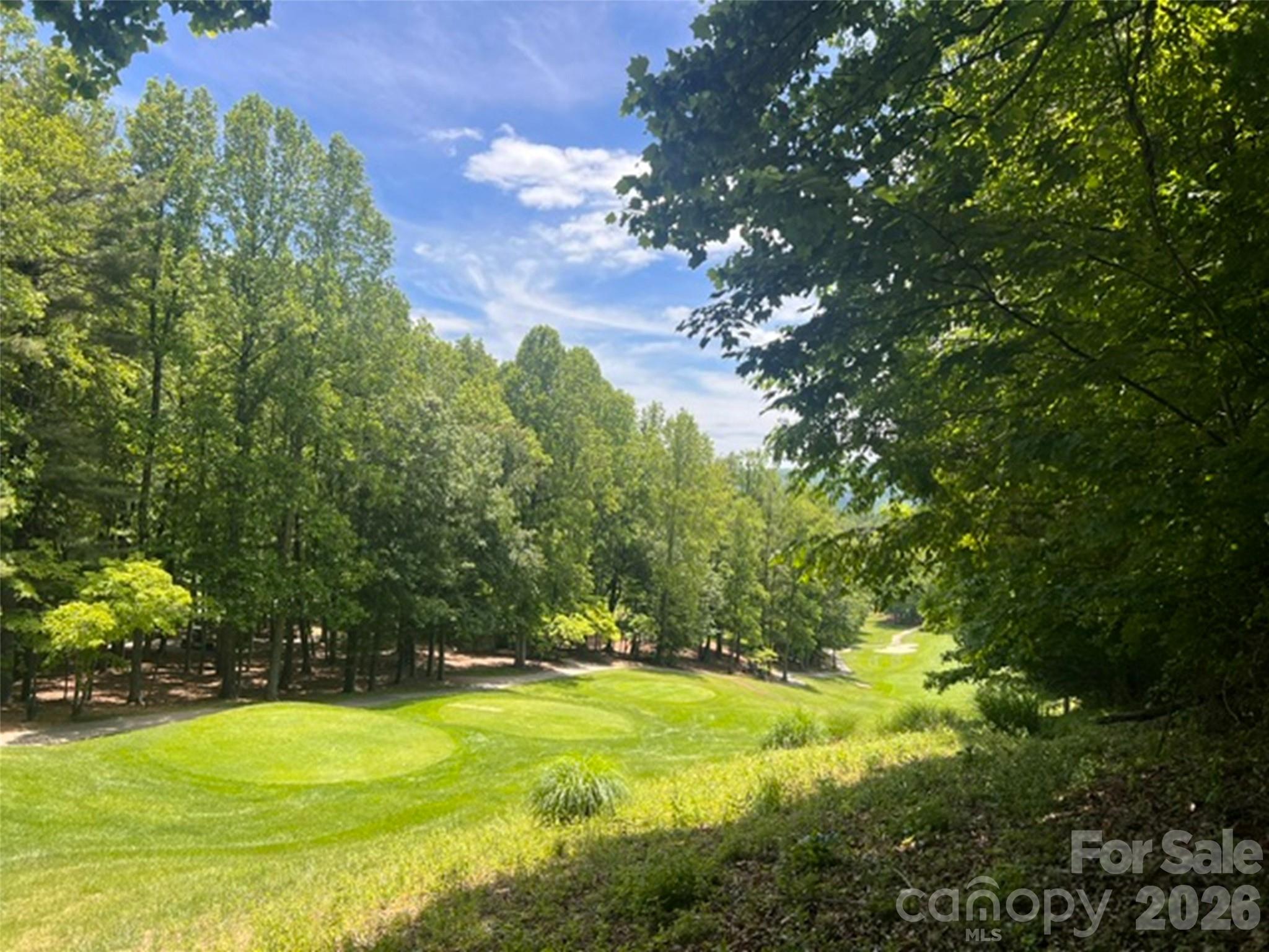 115 Bobby Jones Drive Hendersonville NC 28739