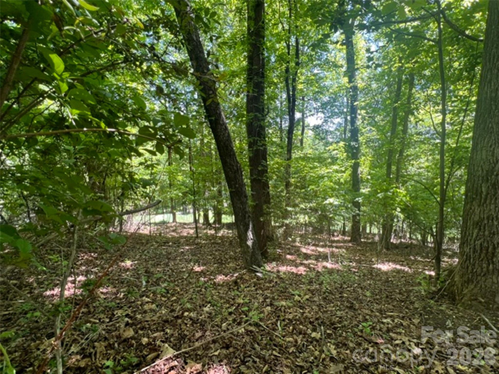 115 Bobby Jones Drive Hendersonville NC 28739