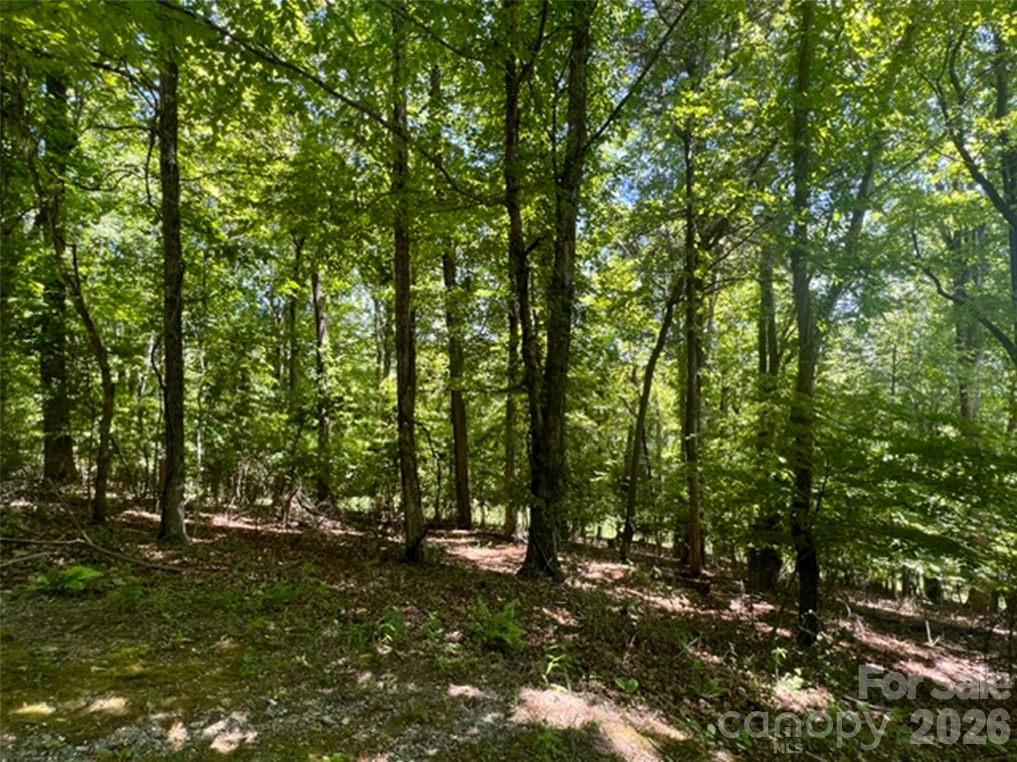 115 Bobby Jones Drive Hendersonville NC 28739