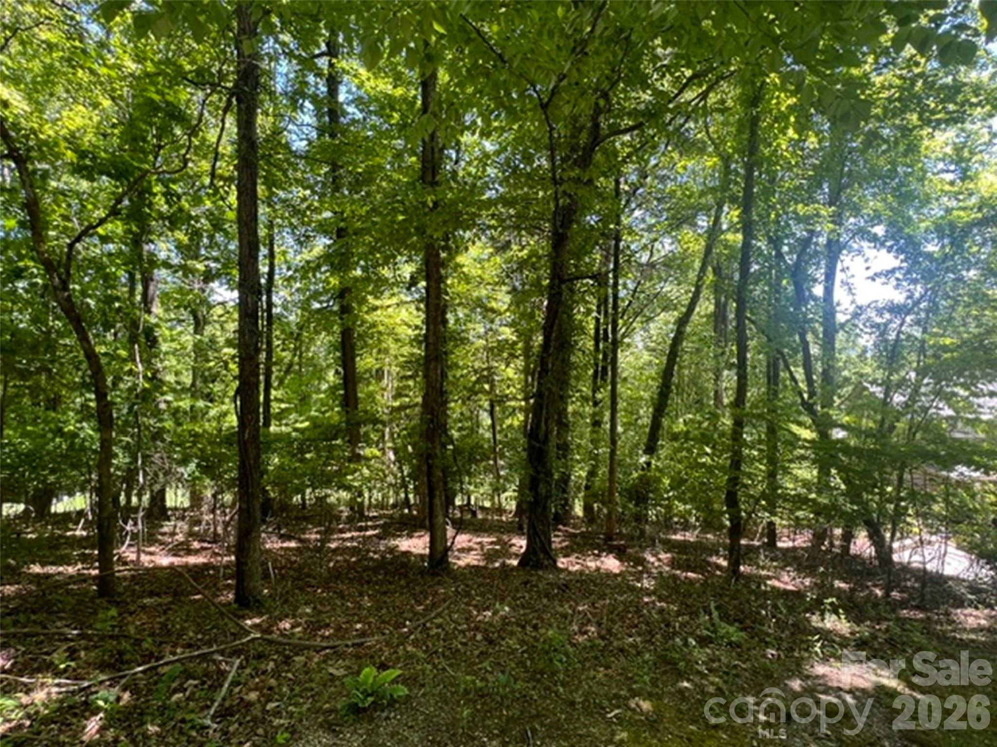 115 Bobby Jones Drive Hendersonville NC 28739