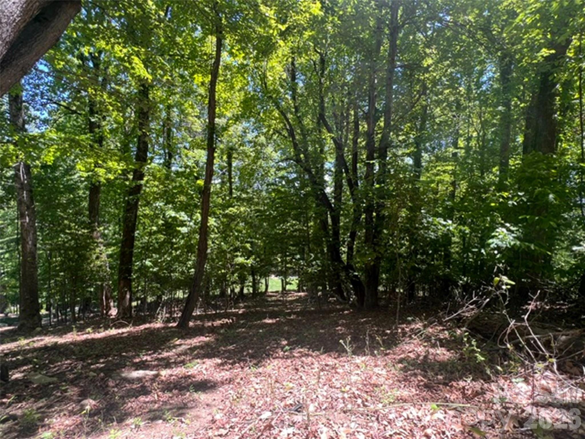 115 Bobby Jones Drive Hendersonville NC 28739