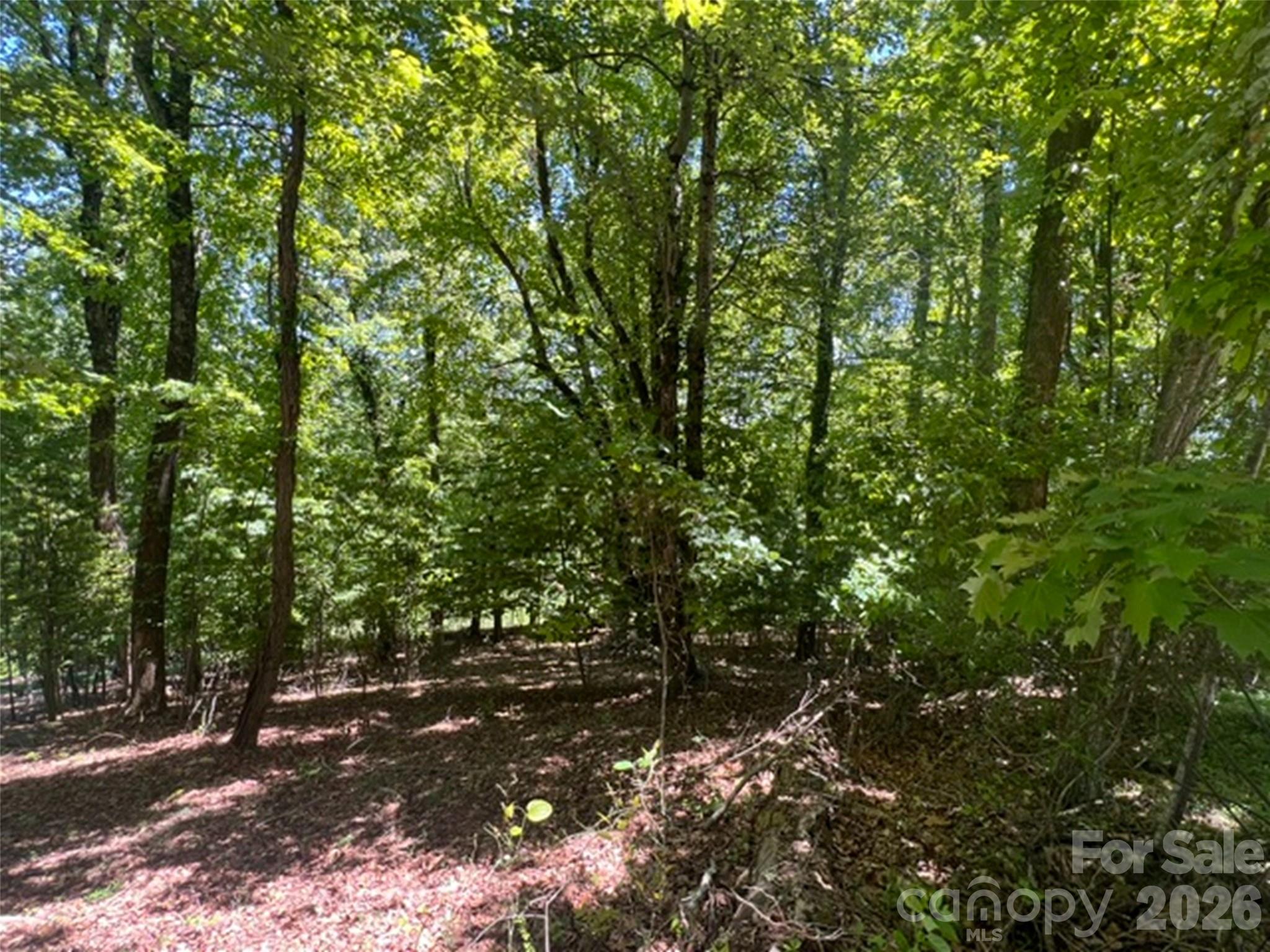 115 Bobby Jones Drive Hendersonville NC 28739