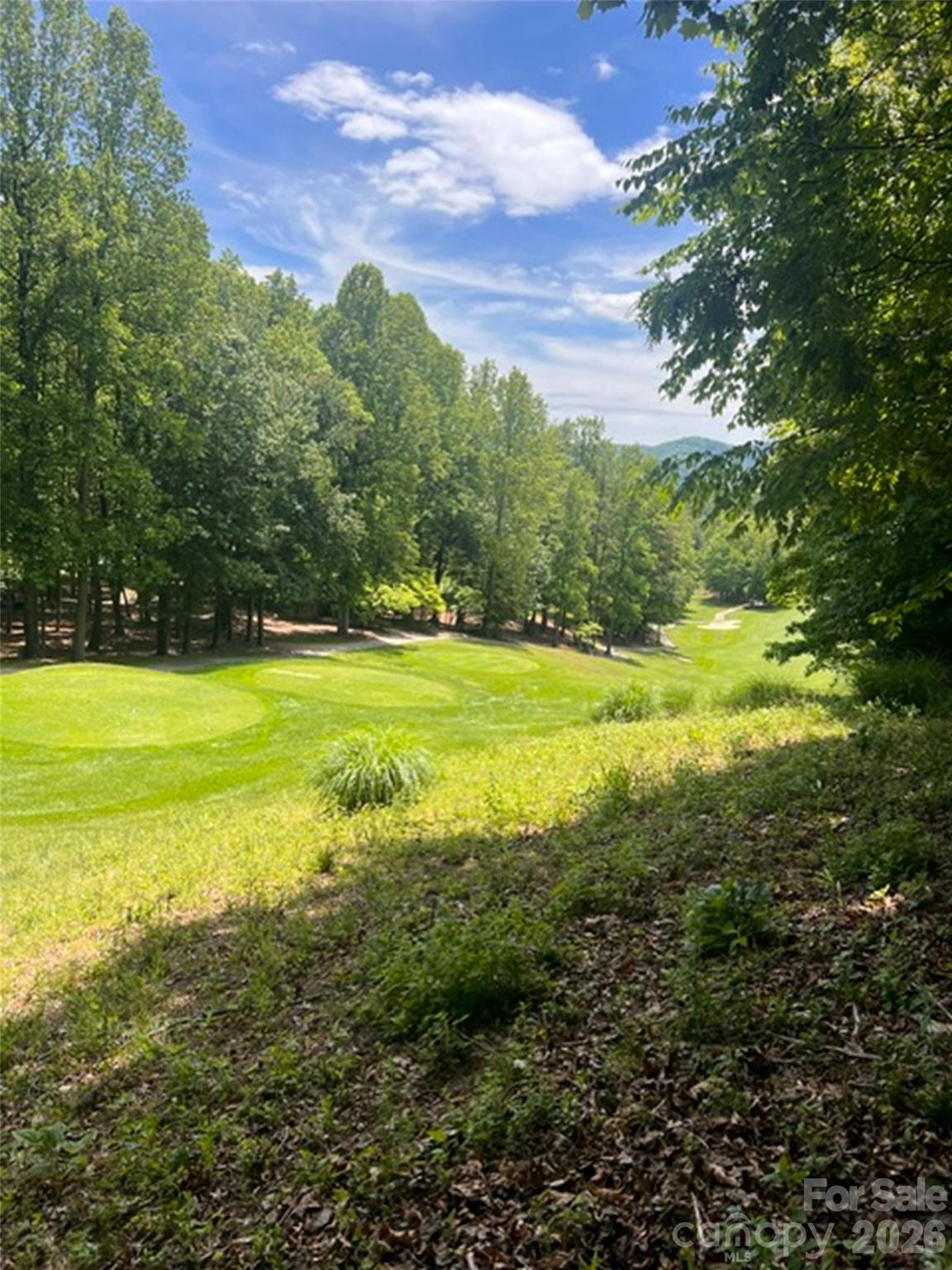 115 Bobby Jones Drive Hendersonville NC 28739