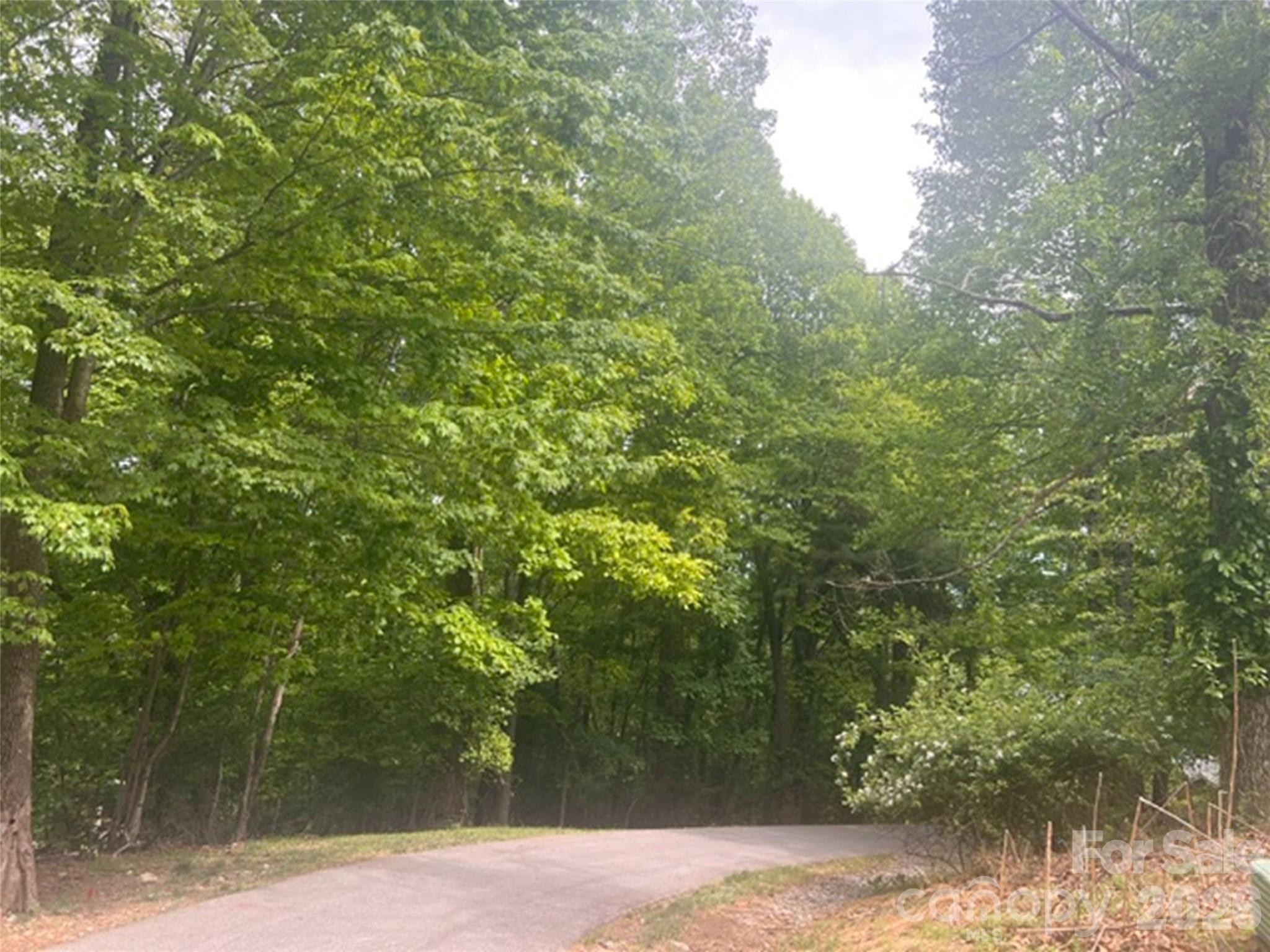 115 Bobby Jones Drive Hendersonville NC 28739