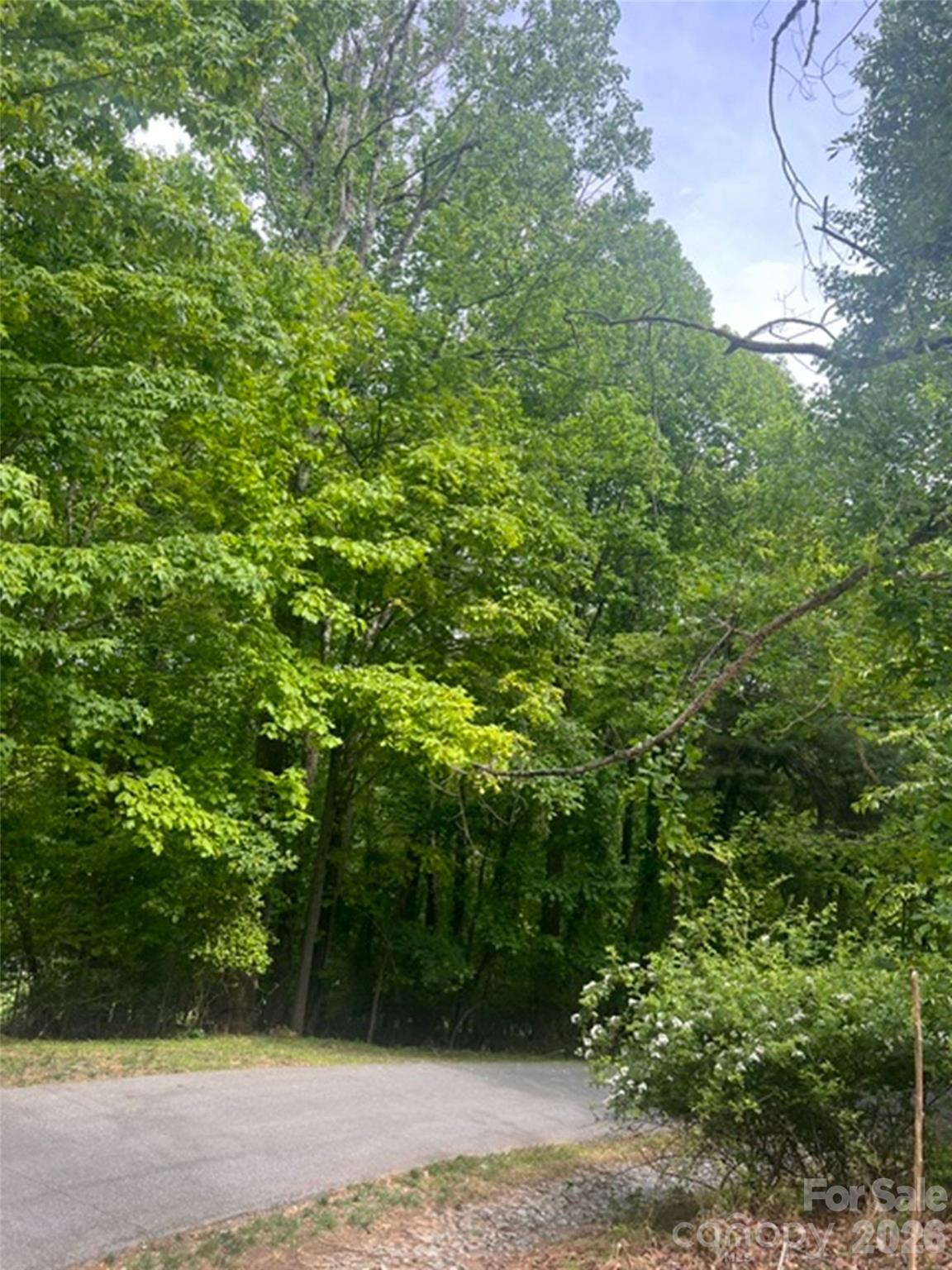 115 Bobby Jones Drive Hendersonville NC 28739