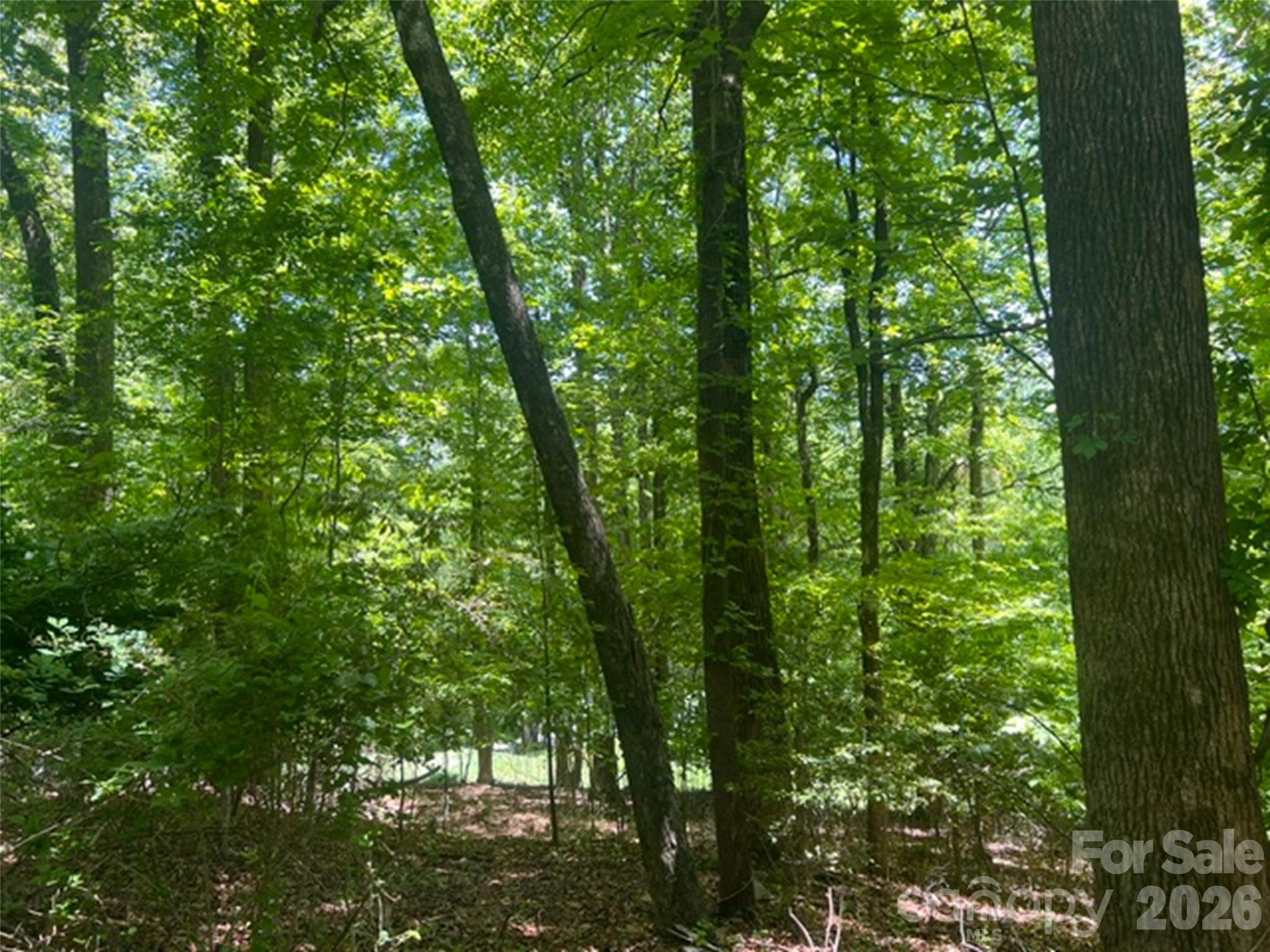 115 Bobby Jones Drive Hendersonville NC 28739