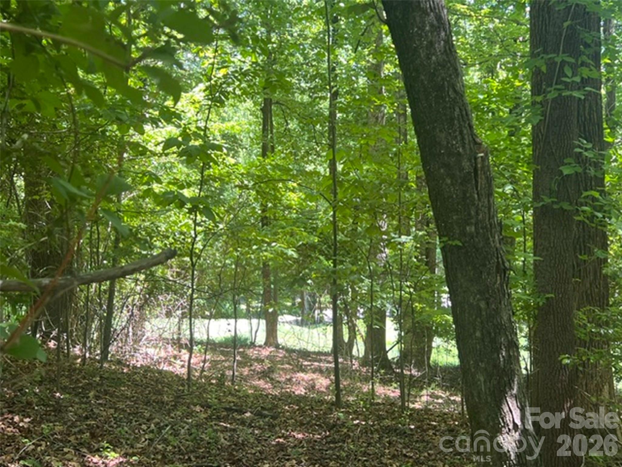 115 Bobby Jones Drive Hendersonville NC 28739