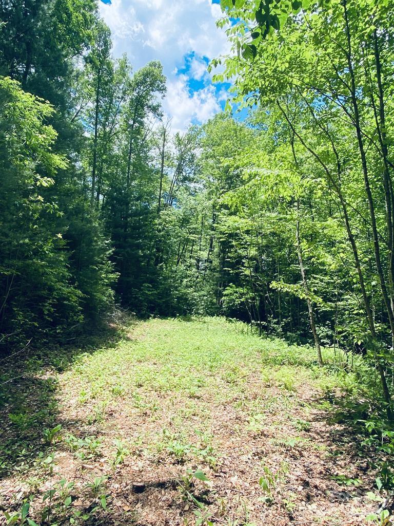 34 Grouse Haven Lane Sylva NC 28779