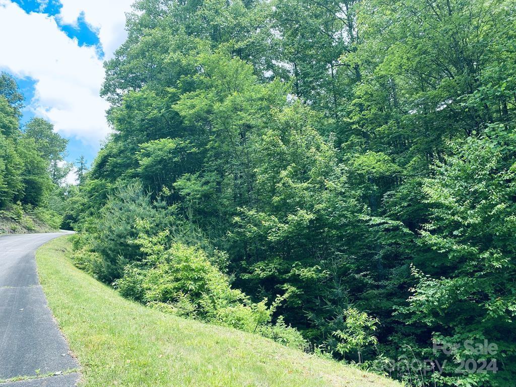 34 Grouse Haven Lane Sylva NC 28779