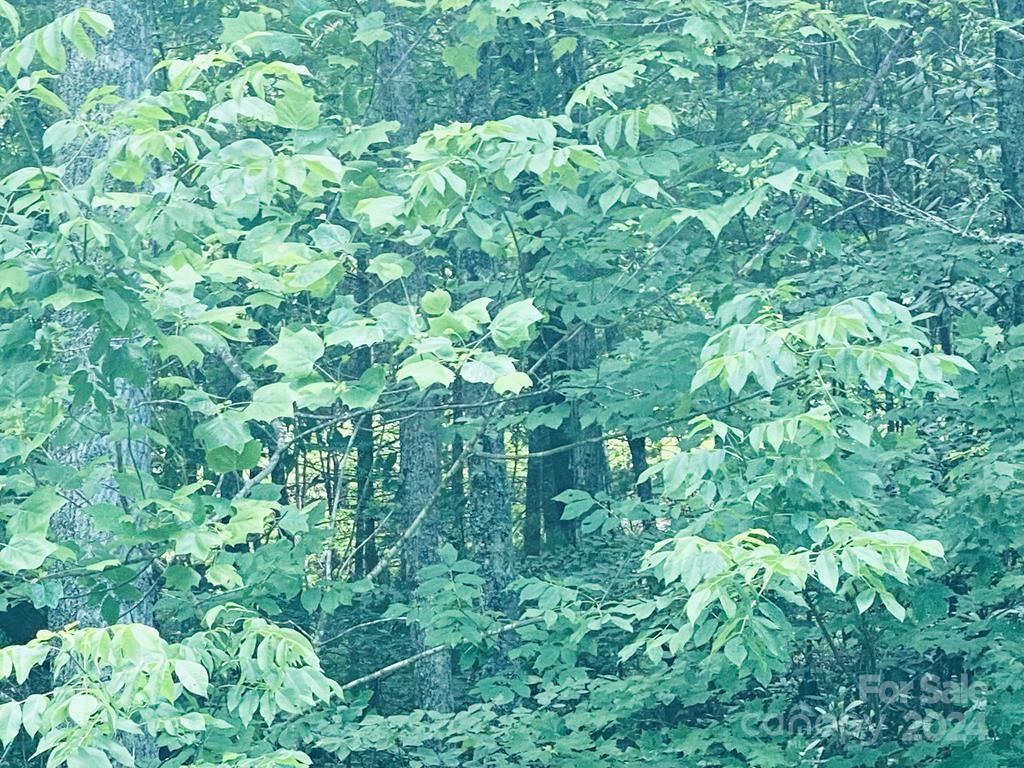 34 Grouse Haven Lane Sylva NC 28779